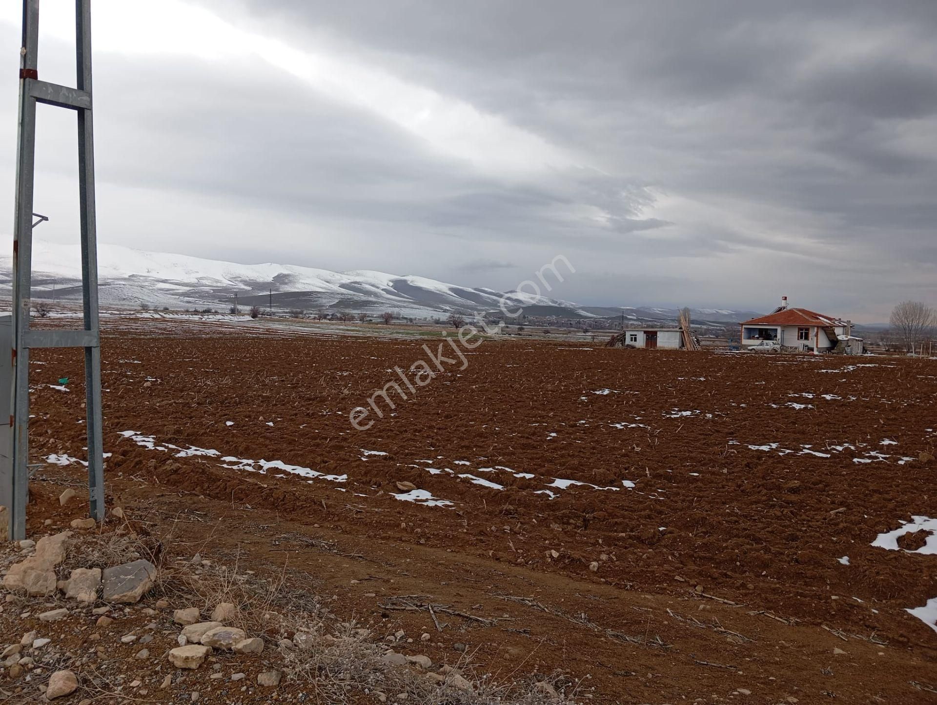 Ereğli Ulumeşe Satılık Tarla Thor'dan Satılık Konya Ereğli Ulumeşe 11,637 M2 Tarla