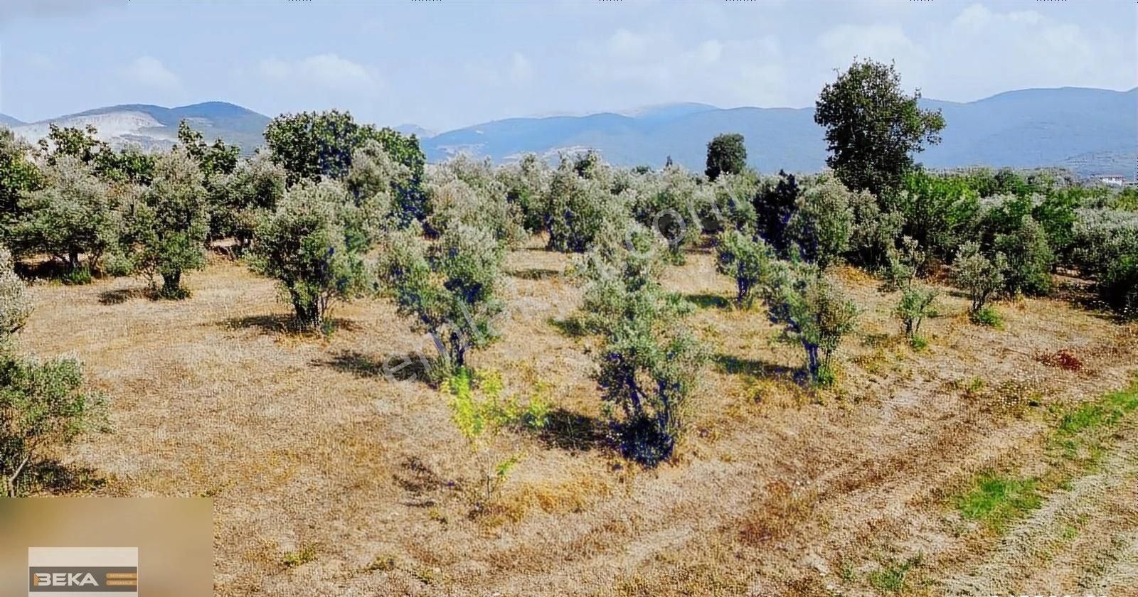 Orhangazi Gedelek Satılık Tarla Beka Gayrimenkul'den Gedelek 'te Resmi Yolu Olan 3372 M2 Tarla