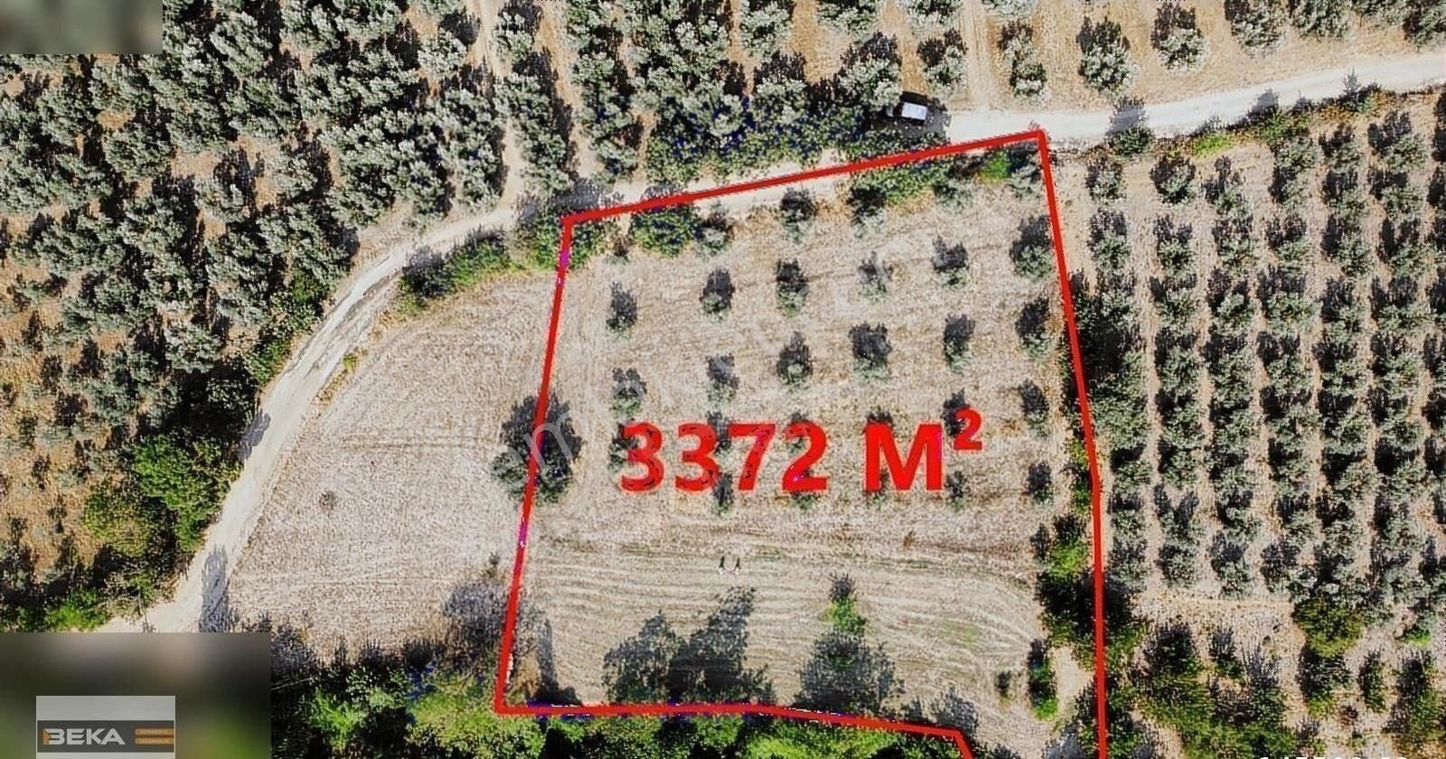 Beka Gayrimenkul'den Gedelek 'te Resmi Yolu Olan 3372 M2 Tarla
