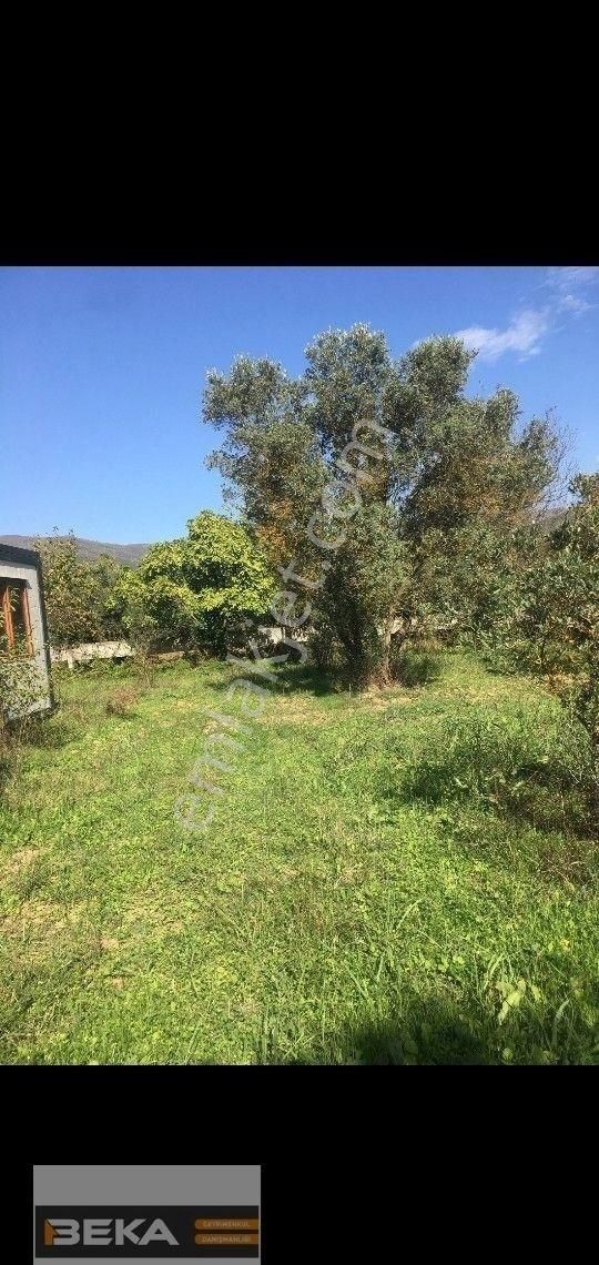 Beka Gayrimenkul'den Hobi Bahçesi - Görsel 8
