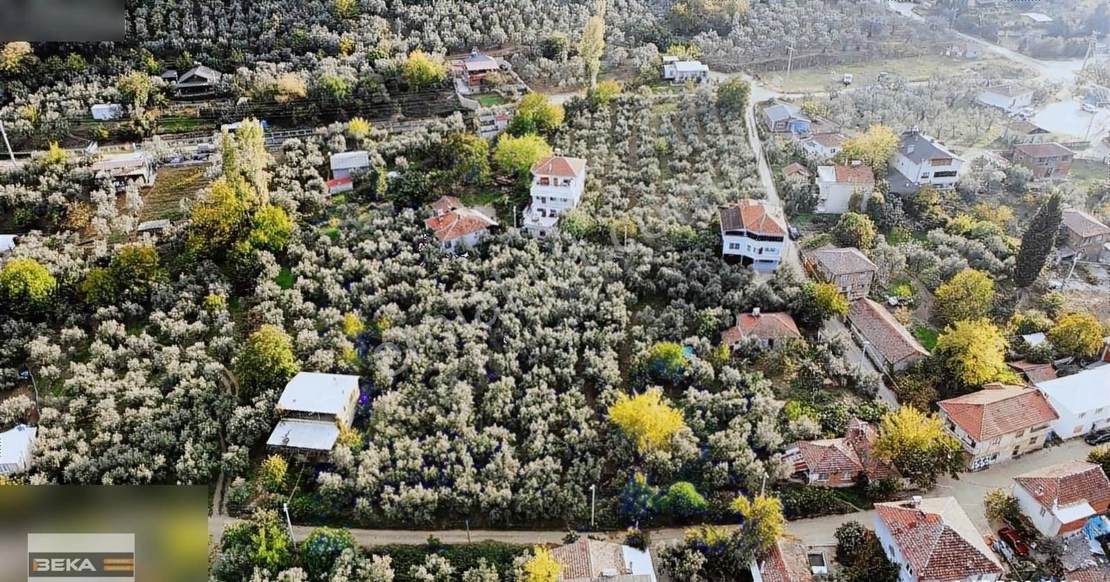 Orhangazi Akharem Satılık Konut İmarlı Acıl Beka Gayrimenkul'den Akharem Köyünde 2 Adet İmarlı Arsa