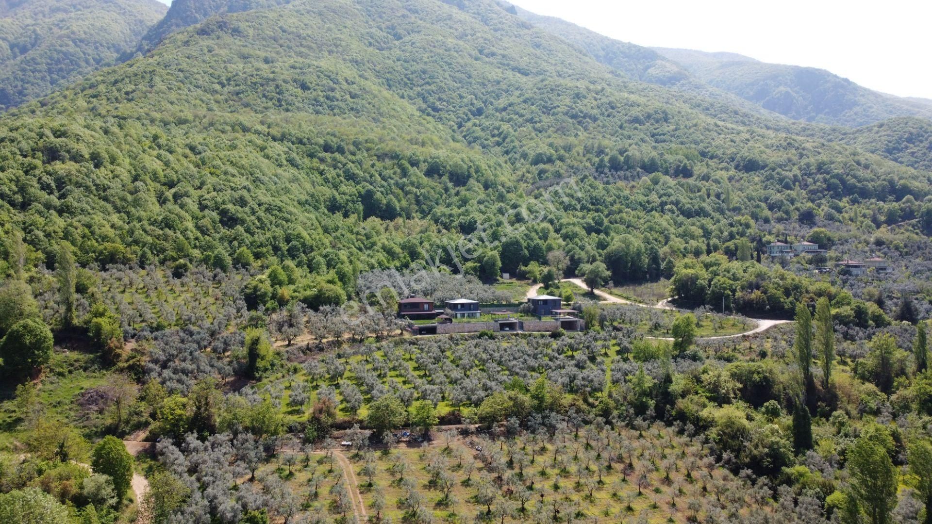 Gürle'de Göl Manzaralı Arsa