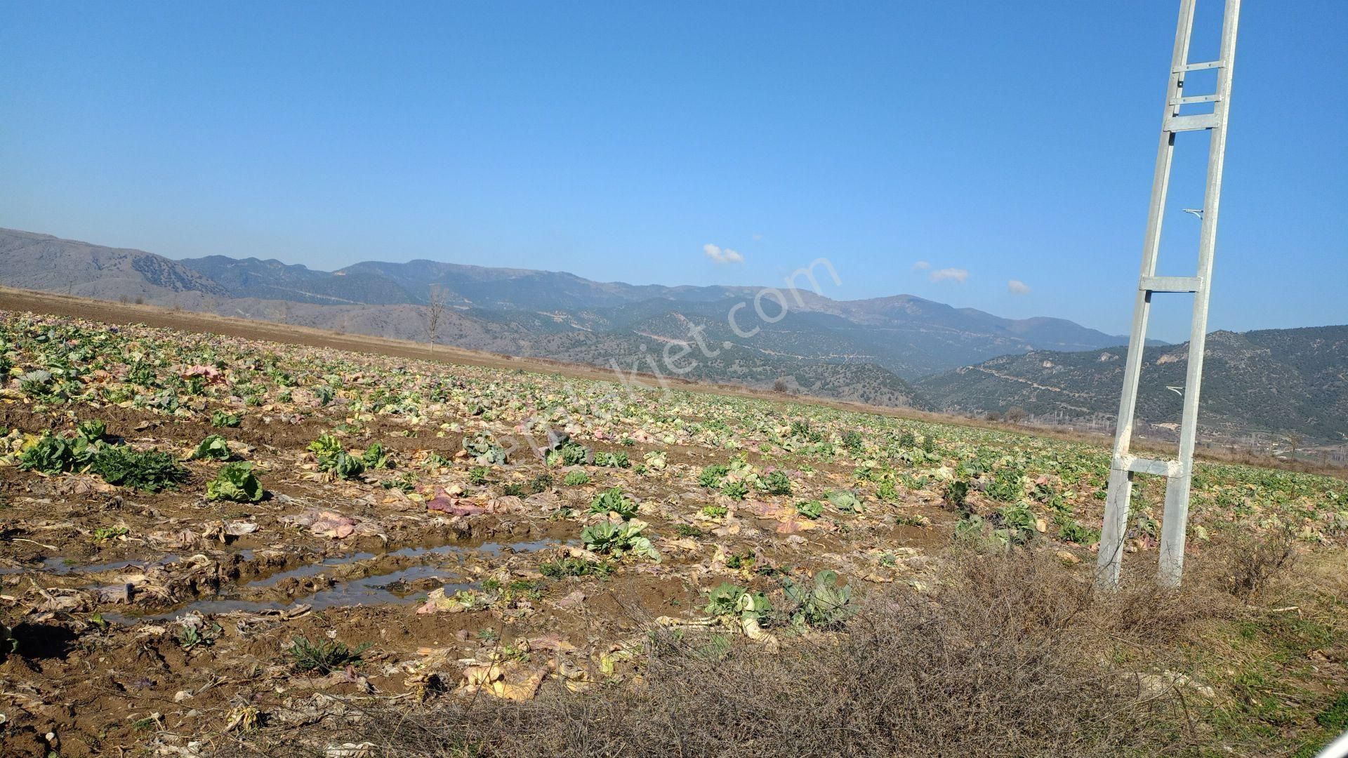 Erbaa Kızılçubuk Köyü Satılık Tarla Erbaa Kizilcubuk Köyü 10 Dönüm Tarla