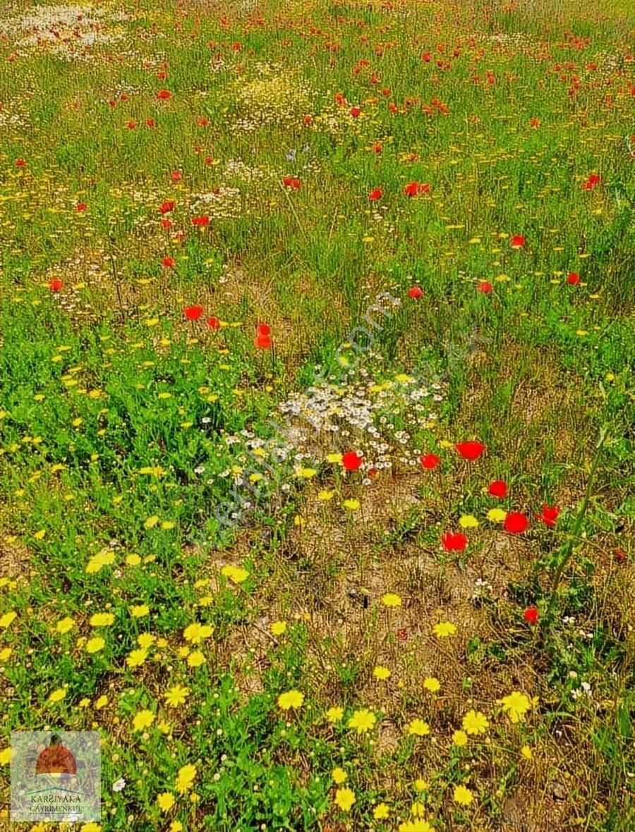 Menderes Satılık Tarla - Görsel 5