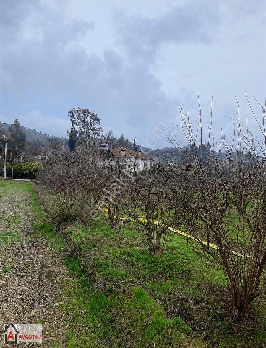 Seydikemer Atlıdere Satılık Tarla Sahil Atlıdere Mahallesi Sarısüleymanlar'da Satılık Tarla