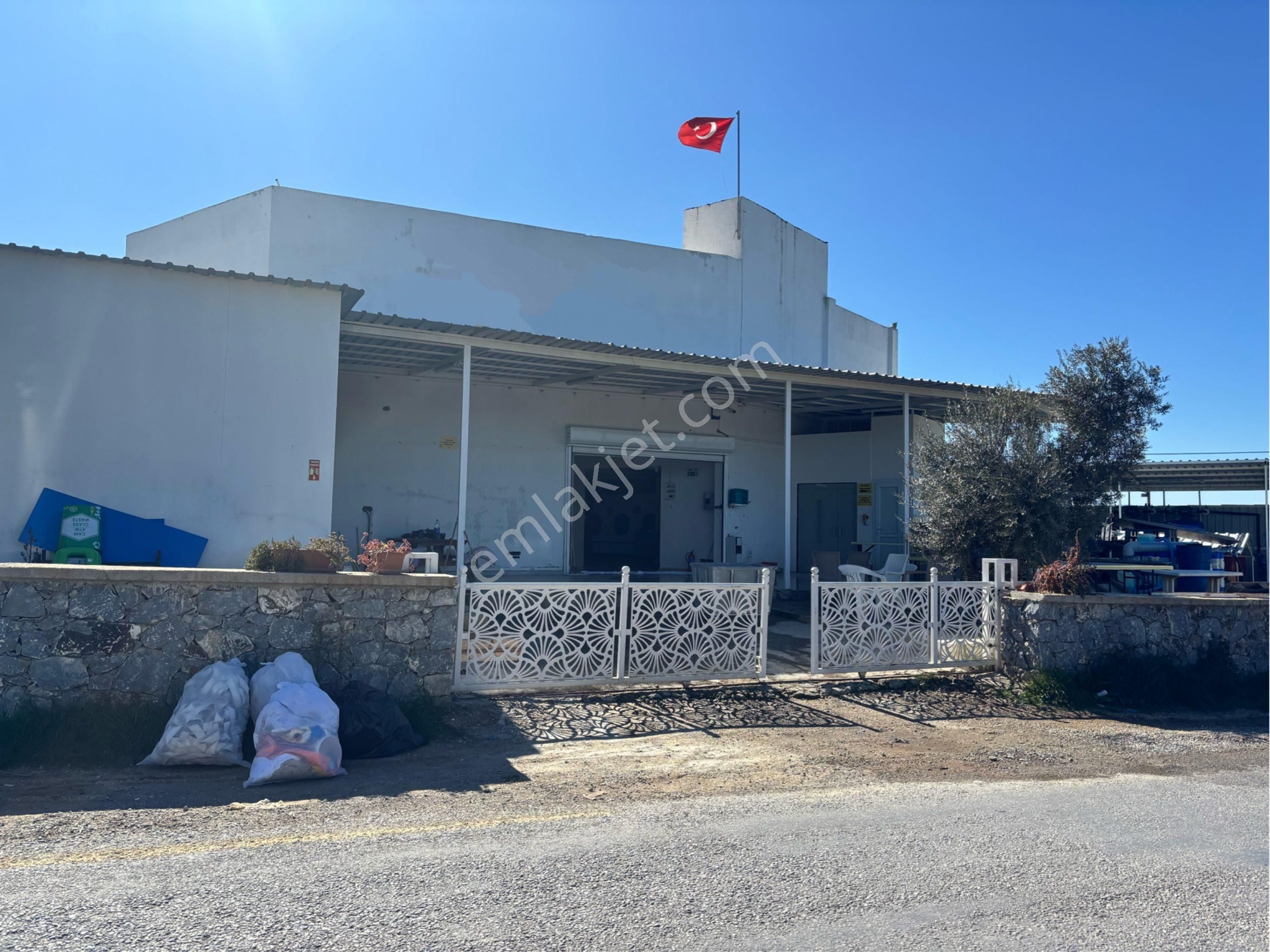 Bodrum Yeniköy Karaova Satılık İmalathane Mumcular Da Aktif Halde Çalışan İmalathane