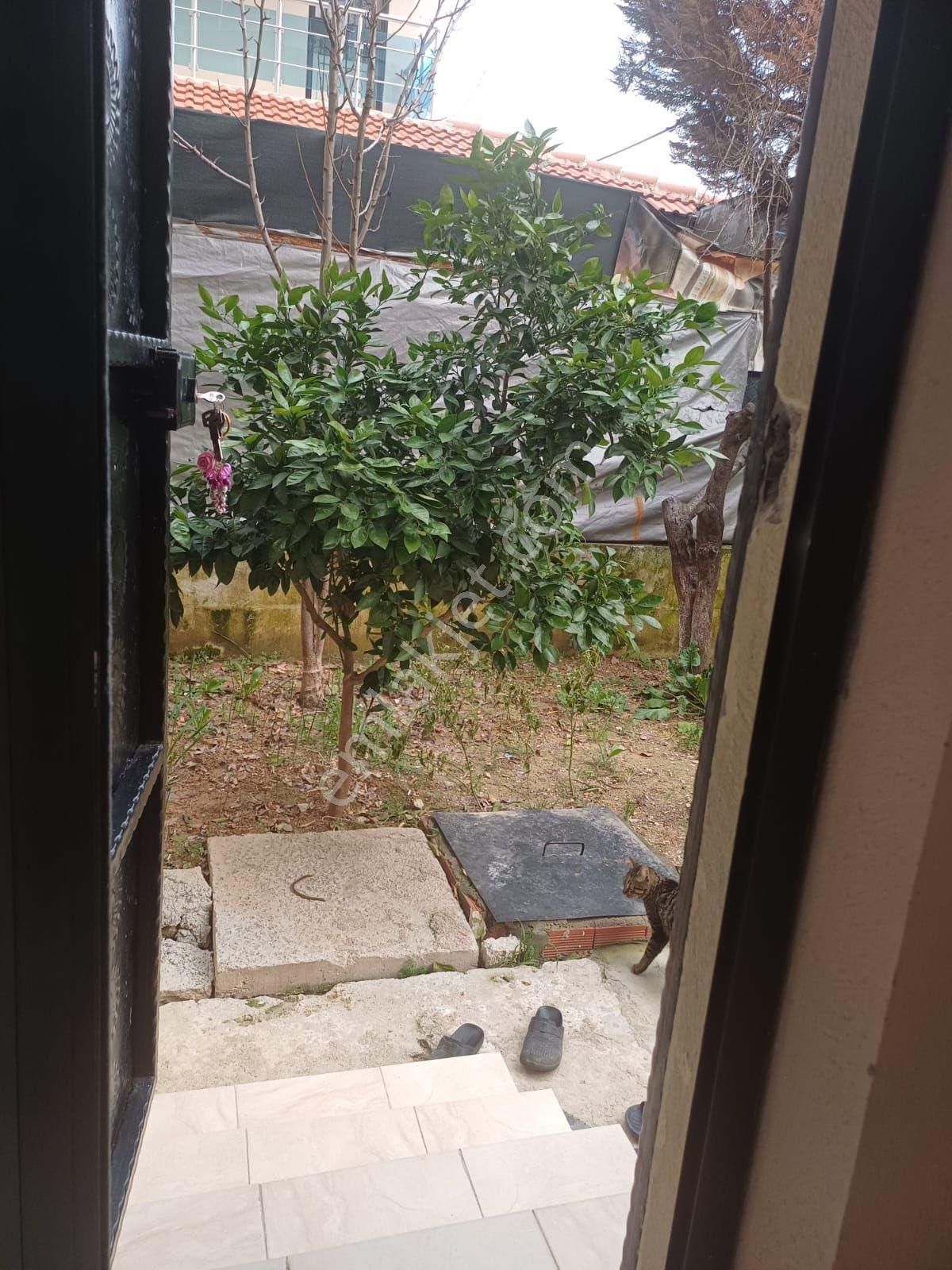 Doğru Emlak'tan Egekentte Bahçeli 2+1 Fırsat Daire - Görsel 23