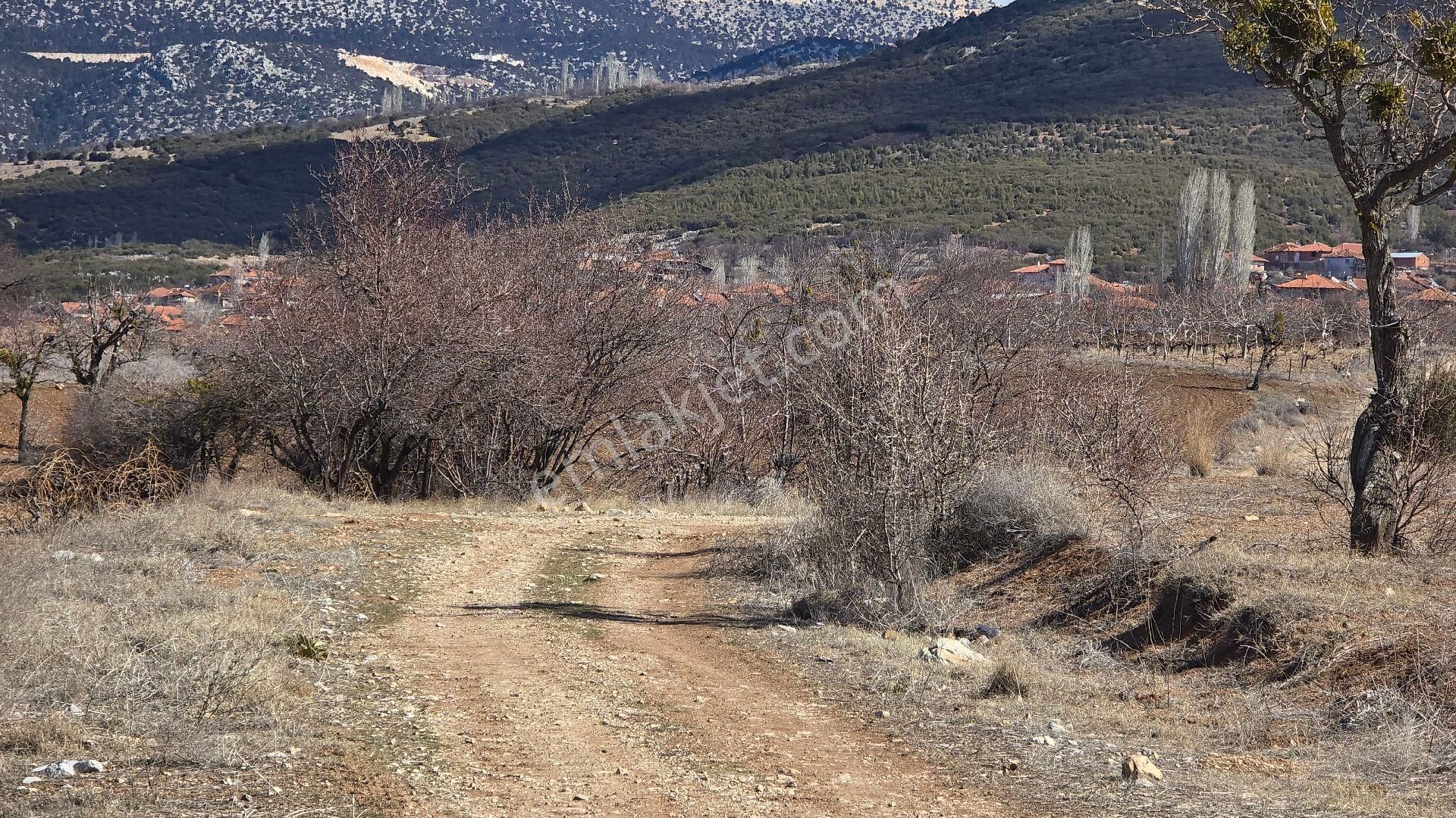 Yeşilova Büyükyaka Köyü Satılık Tarla Burdur Yeşilova Başkuyu 1200 M² Tarlamız Satılıktır K.k. Geçeriz