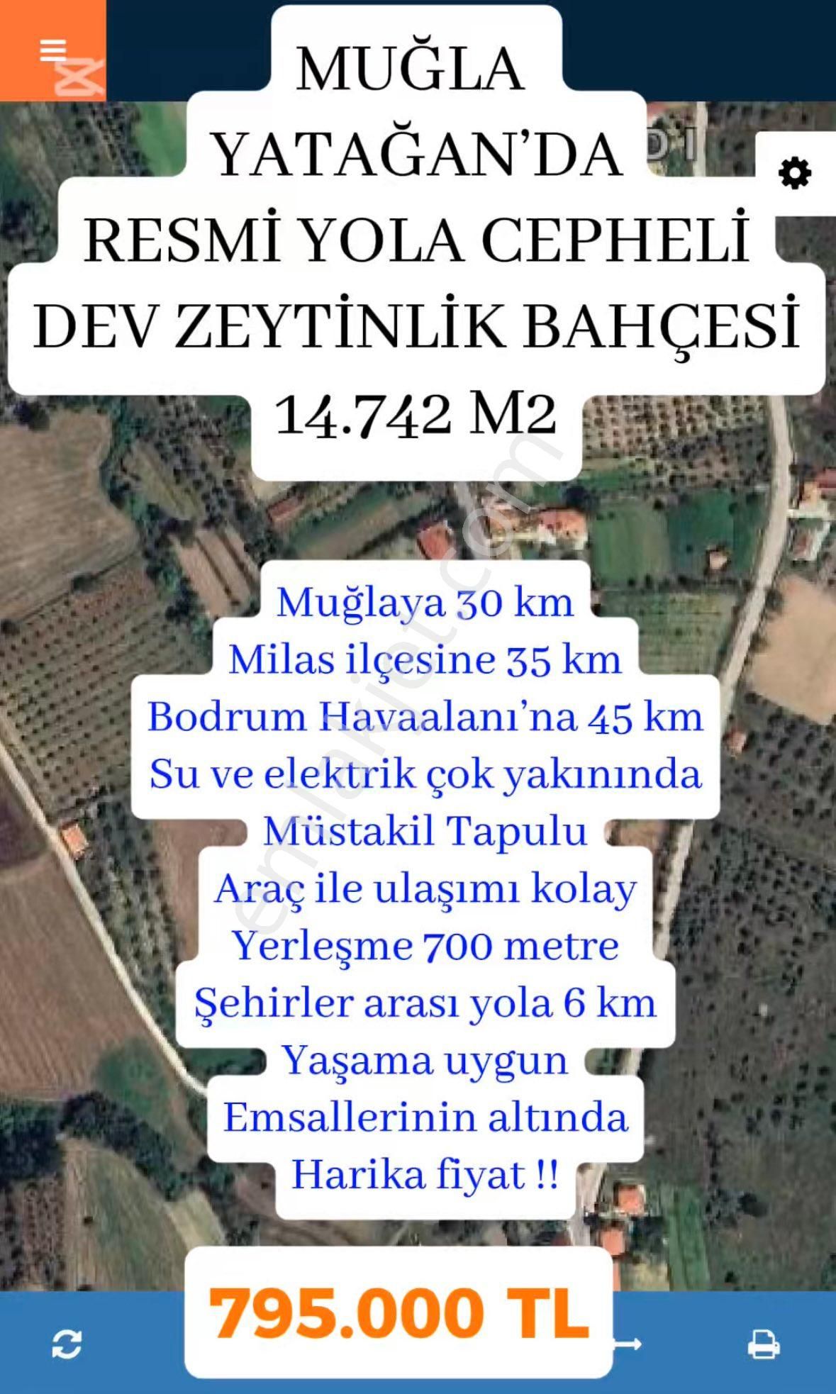 Yatağan Hisarardı Satılık Tarla 🏞️ Muğla Yatağan’da Yaşam Ve Tarımı Bir Arada Yaşayın!! Muhteşem Manzaralı Dev Yatırım Fırsatı!