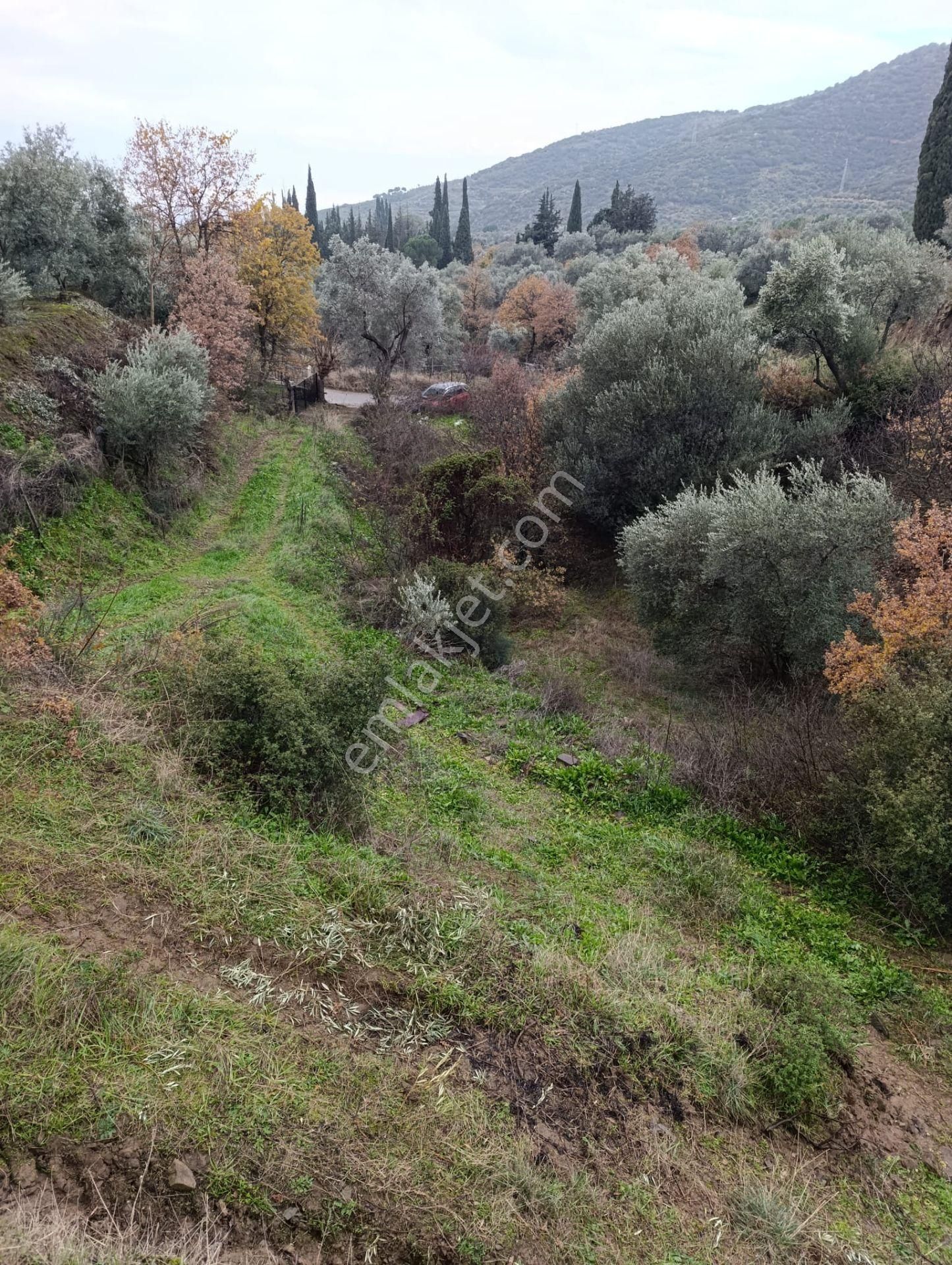 Ödemiş Birgi Satılık Tarla Sahibinden Turizm Köyü Birgi'de Yola Cephe Arazi