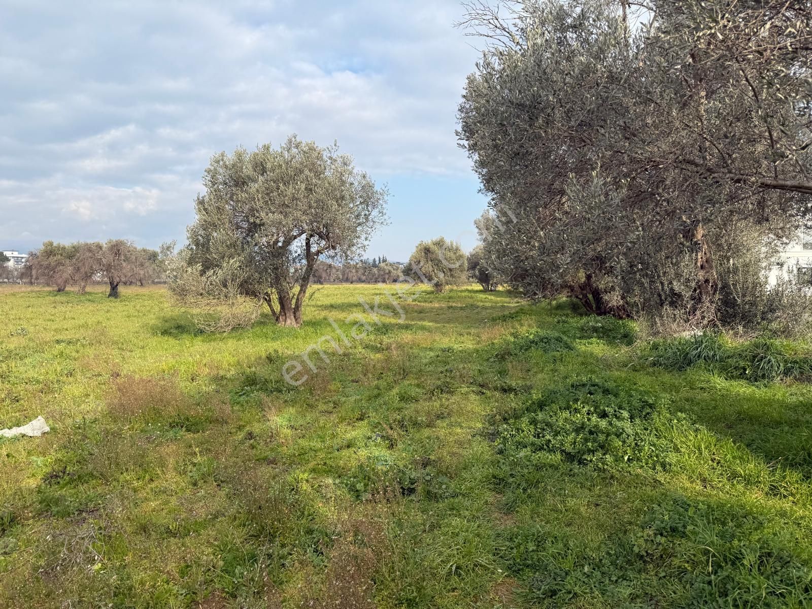 Menderes Mithatpaşa Mahallesin'de Satılık İmarlı Arsa - Görsel 18