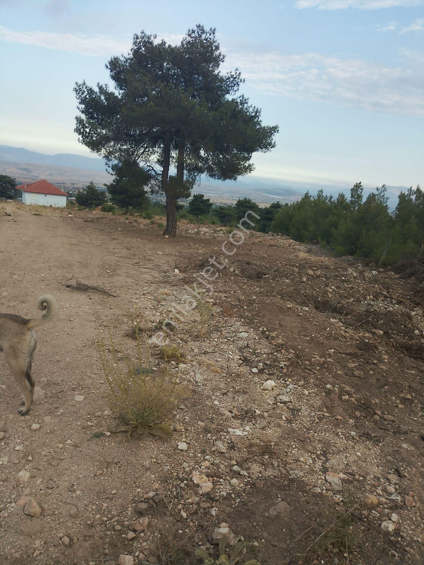 Korkuteli Taşkesiği Satılık Yazlık Yayla Evi - Görsel 9