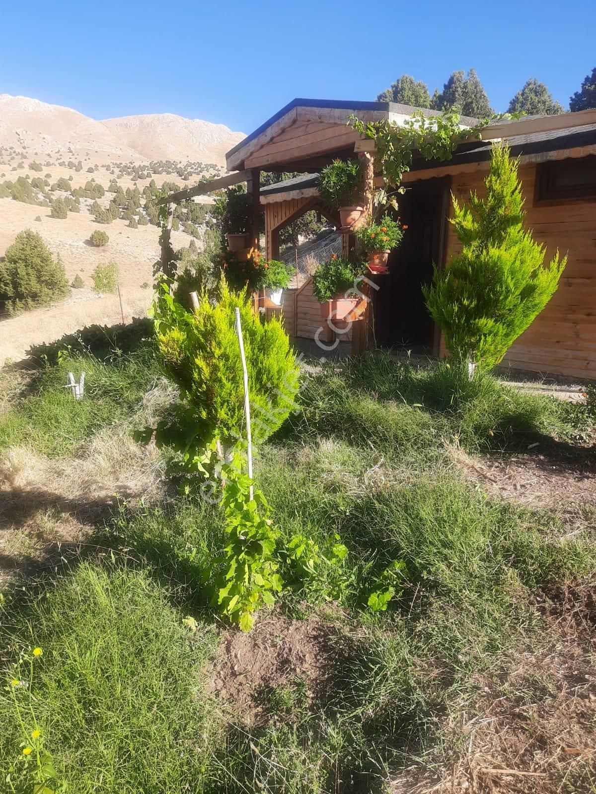 Korkuteli Taşkesiği Satılık Yazlık Yayla Evi - Görsel 20