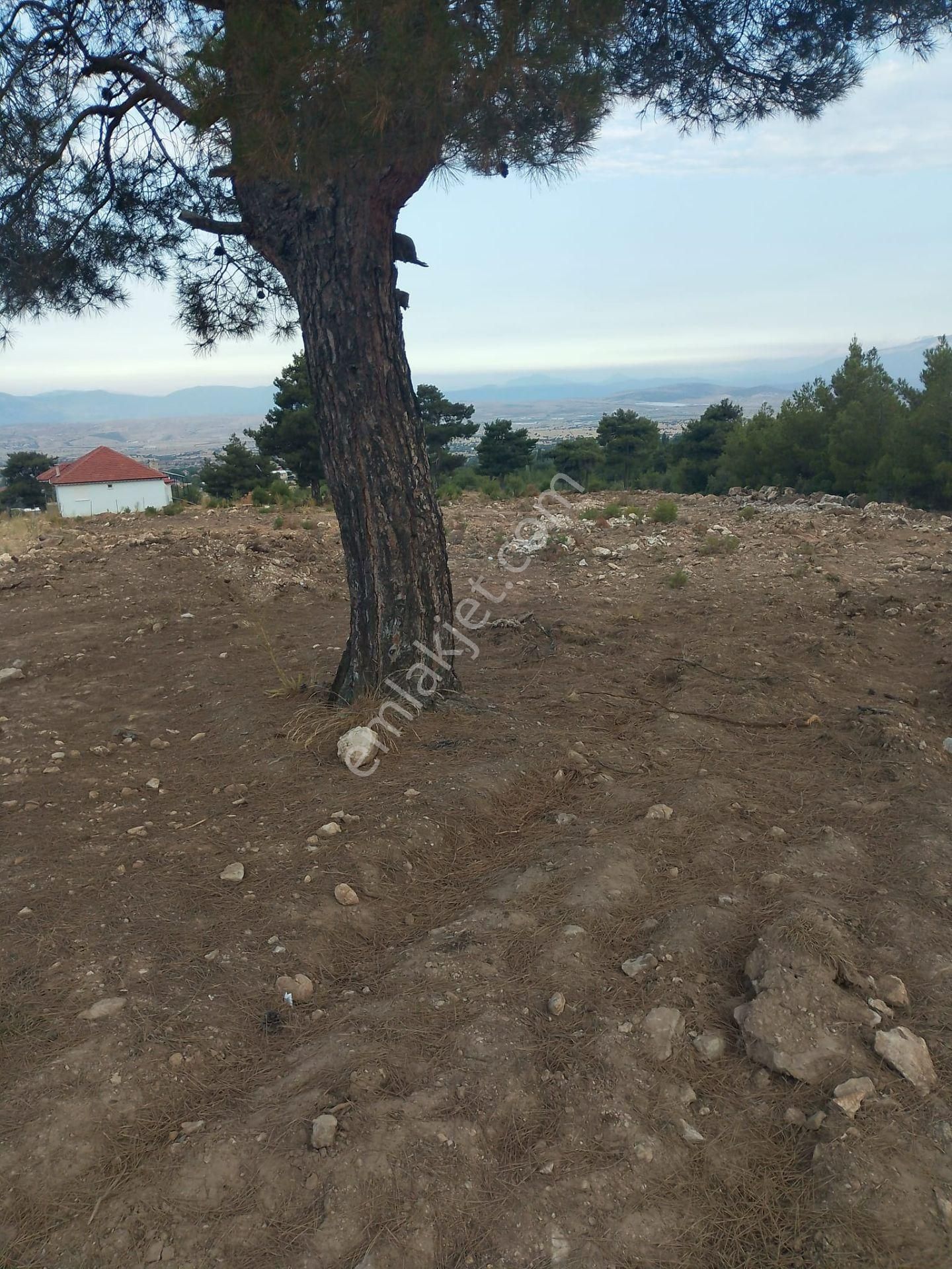 Korkuteli Taşkesiği Satılık Yazlık Yayla Evi - Görsel 17