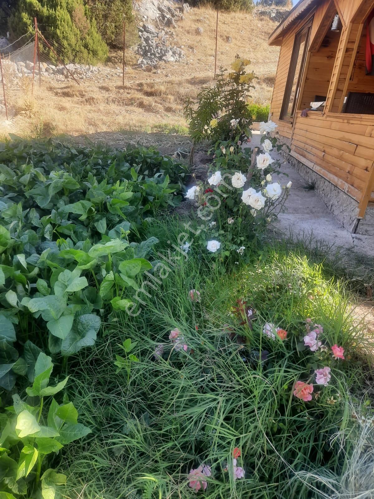 Korkuteli Taşkesiği Satılık Yazlık Yayla Evi - Görsel 25