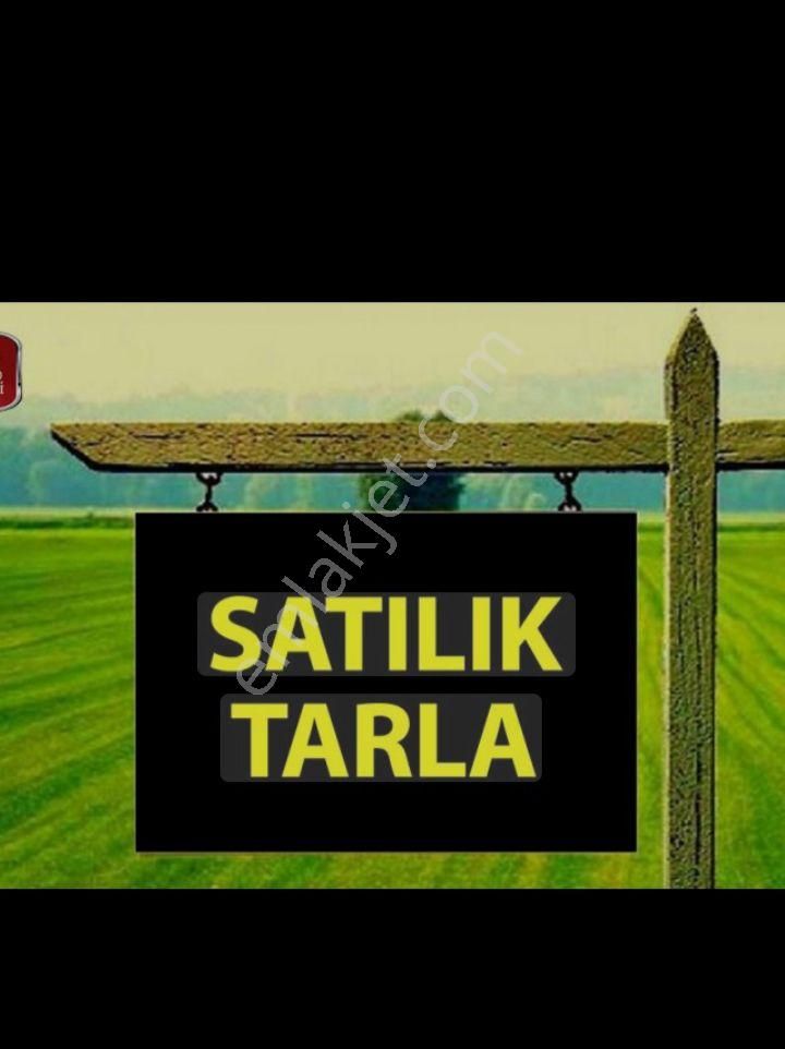 Mamak Lalahan Satılık Tarla Lalahanda Yatırımlık Tarla