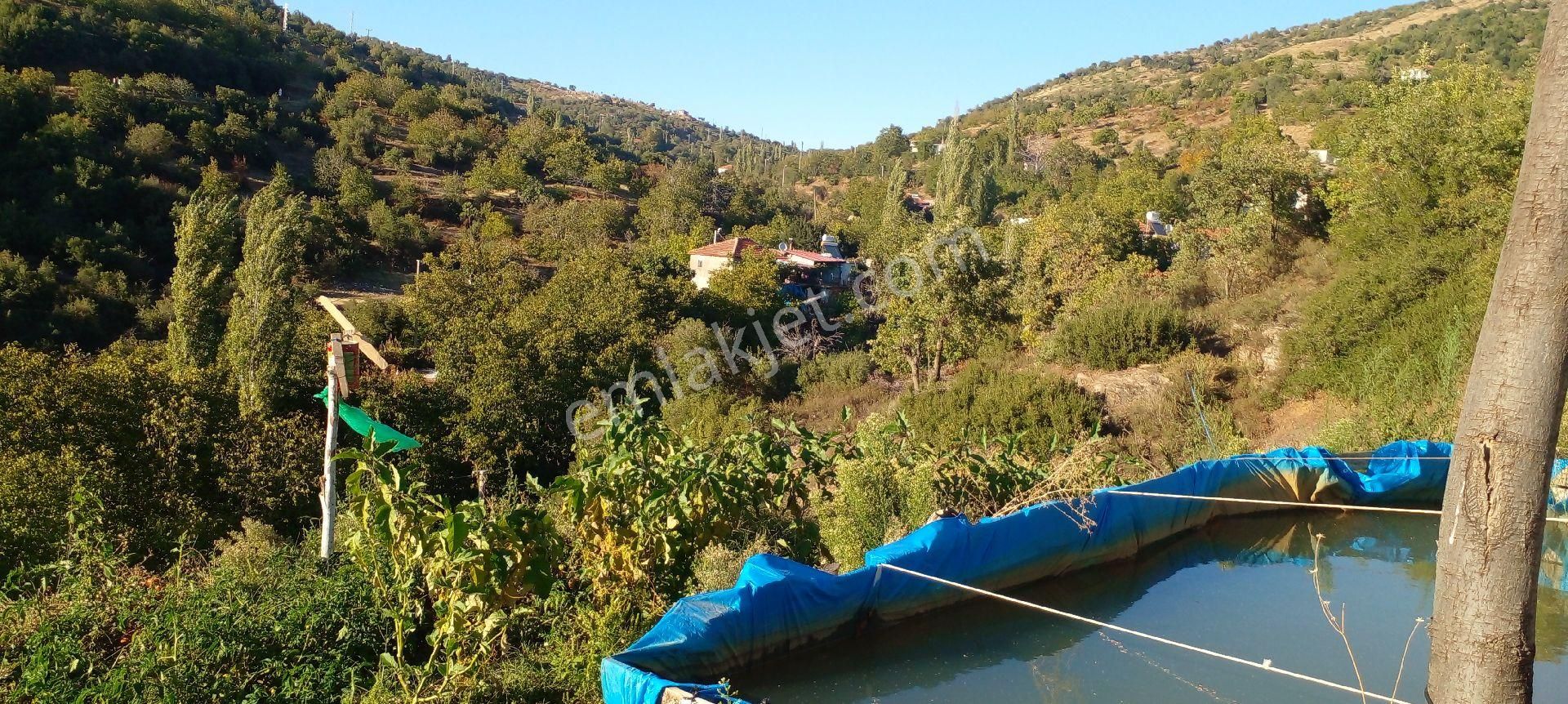 Mor Çiçek Emlak Tire Satılık Ceviz Bahçesi - Görsel 16