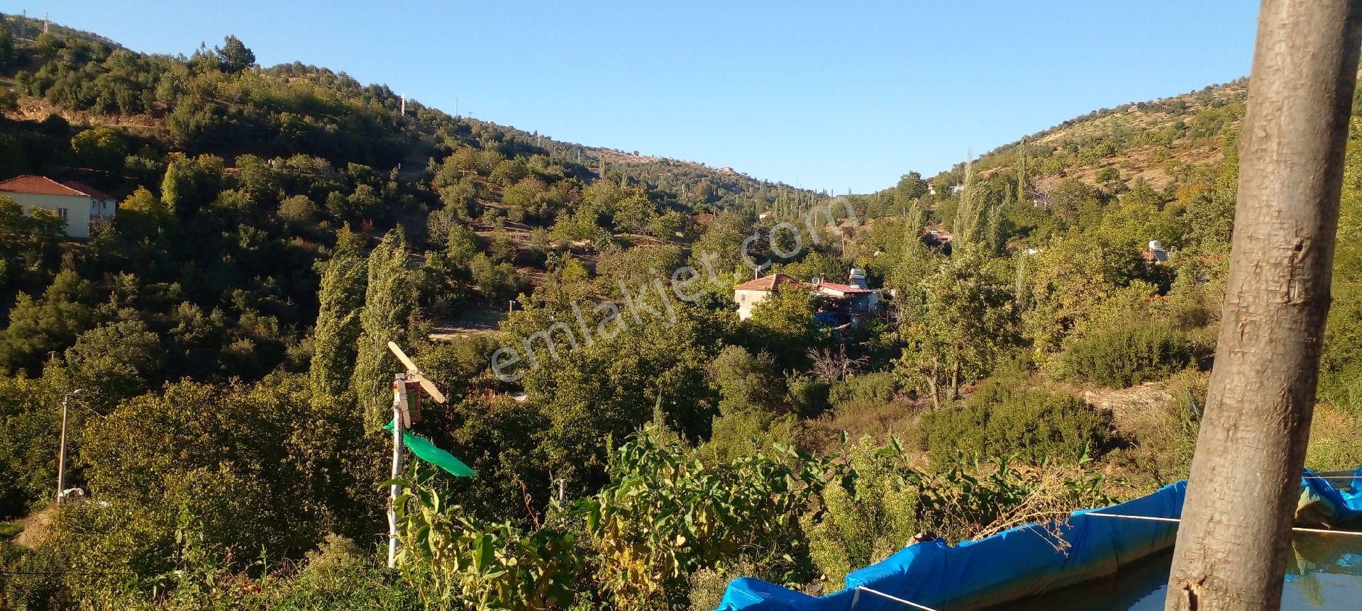Mor Çiçek Emlak Tire Satılık Ceviz Bahçesi - Görsel 14
