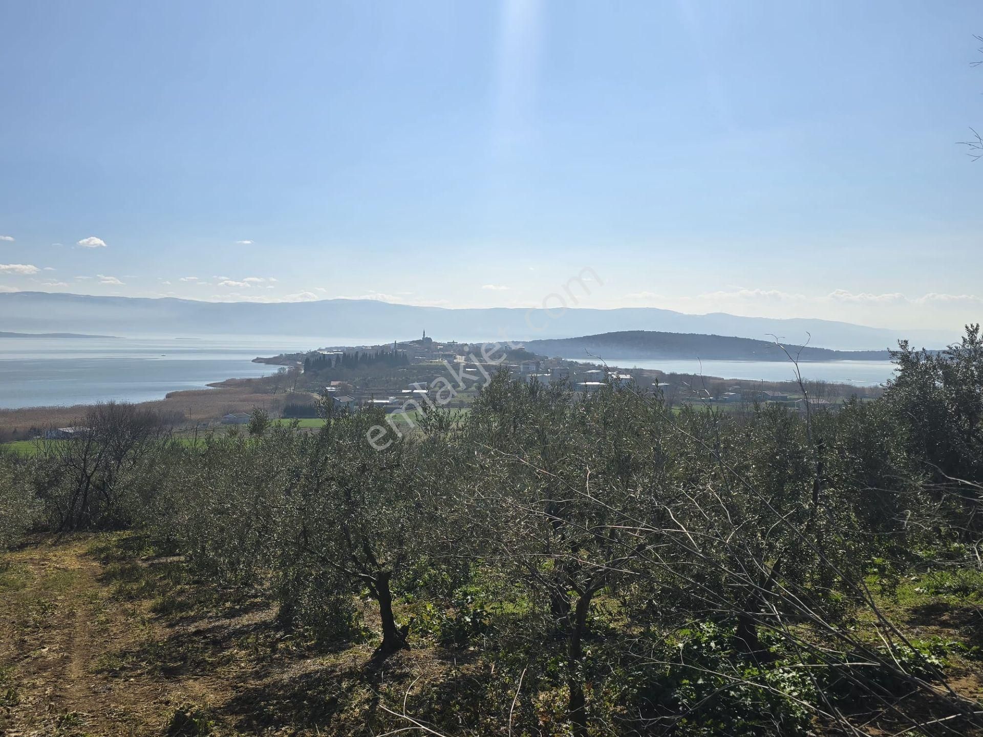 Karacabey Eskikaraağaç Satılık Bağ & Bahçe Karacabey Eskikarağaç'ta 1950m2 Boğaz Manzaralı Satılık Bahçe