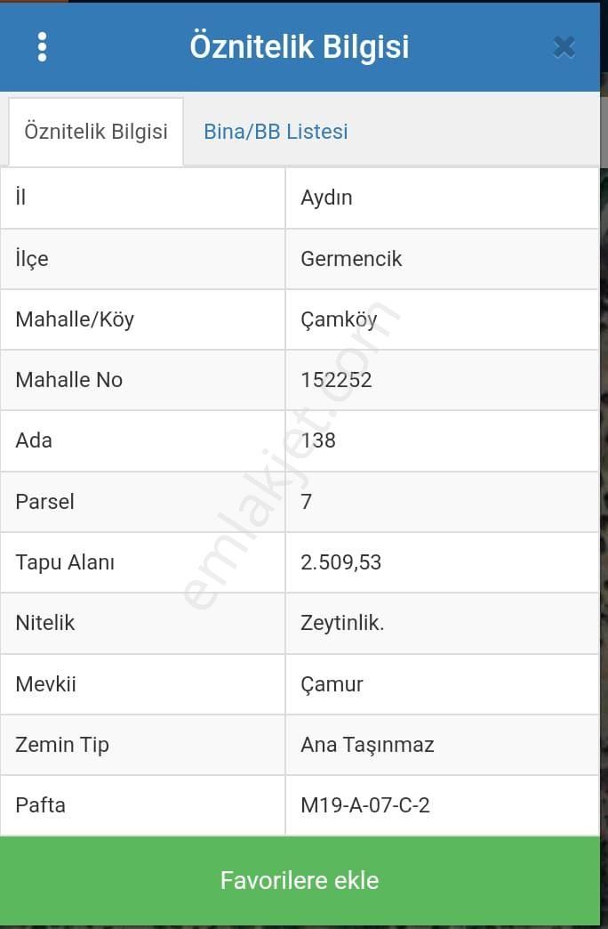 Germencik Çamköy Ana Yola Yakın 2509 M2 Satılık Zeytinlik - Görsel 4