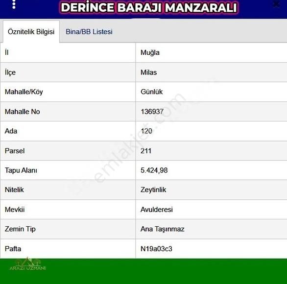 Milas Günlük Satılık Zeytinlik Arazi Uzmanından Milas Günlük'te Göl Manzaralı 5.5 Dönüm Zeytinl