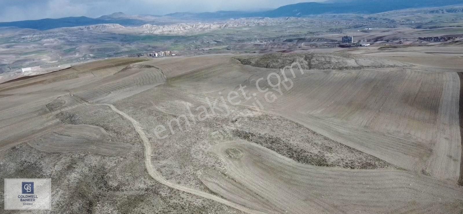 Güdül Güneyce Satılık Tarla Güdül,güneycede ,5.5 Dönüm Satılık Tarla