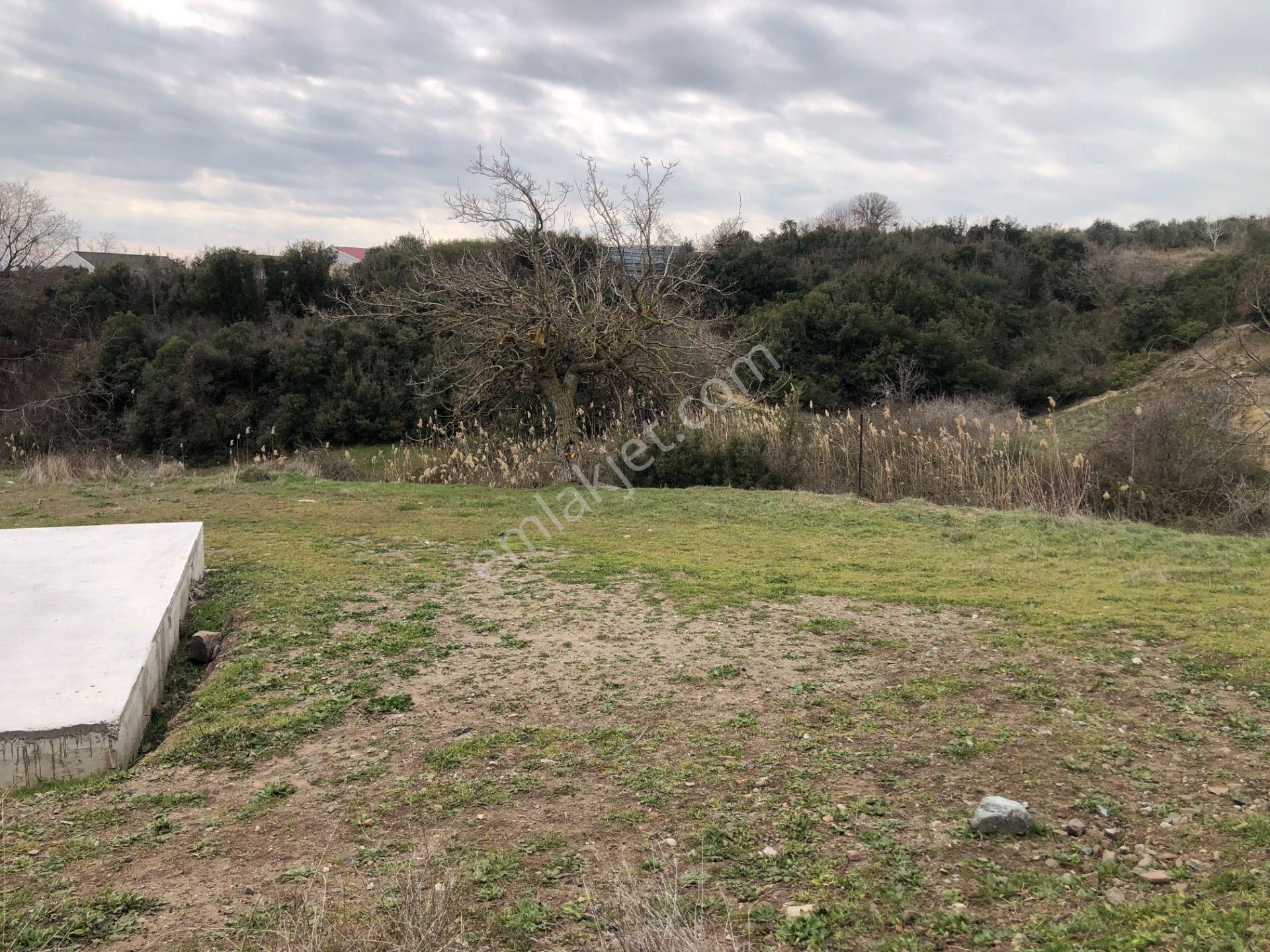 Şarköy De Işık Emlaktan Kızılcaterzi Mah De 789 M2 0/37 İmarlı Arsa - Görsel 8