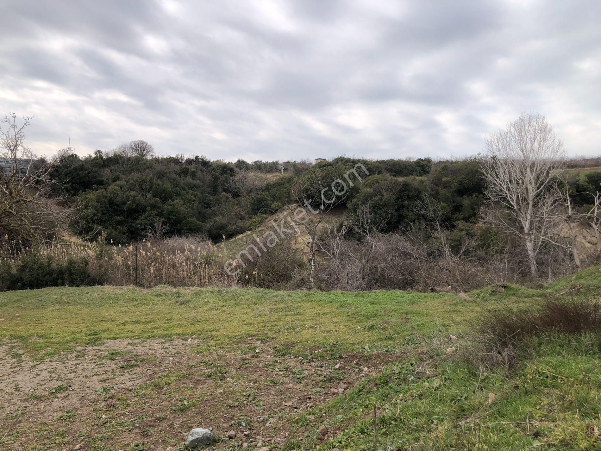 Şarköy De Işık Emlaktan Kızılcaterzi Mah De 789 M2 0/37 İmarlı Arsa - Görsel 7