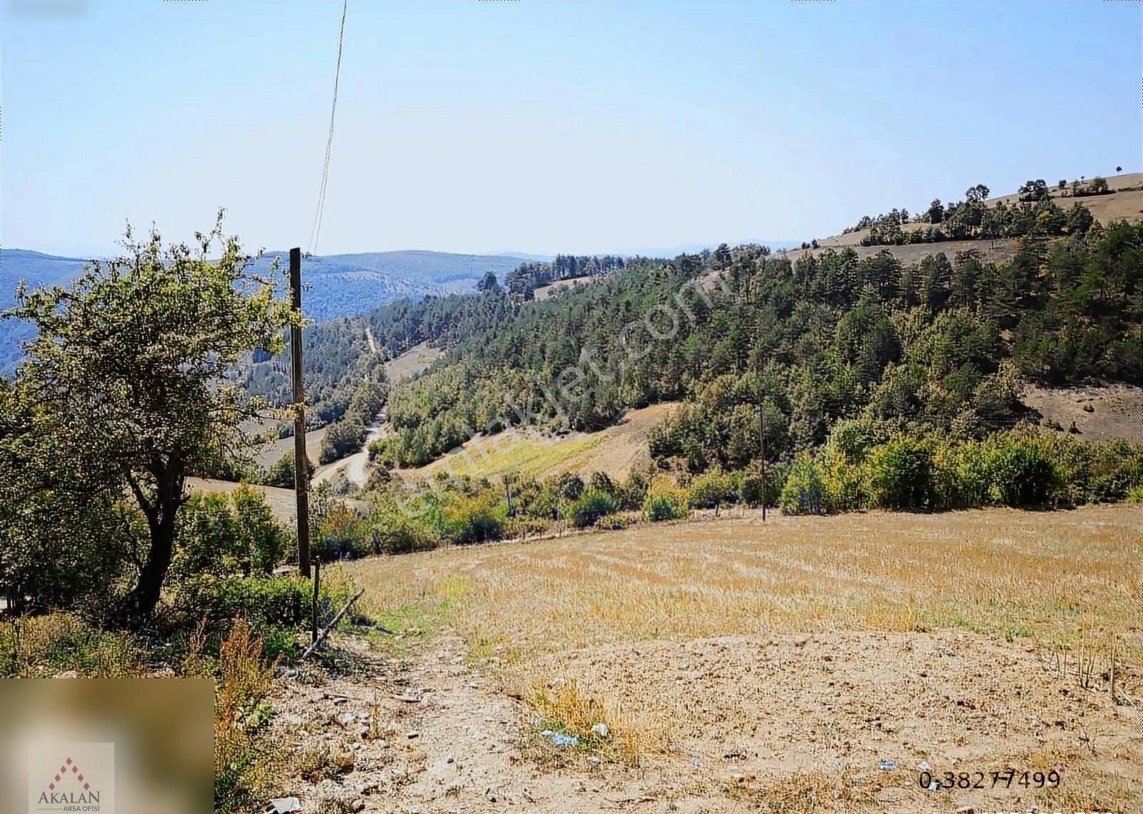 Atakum İncesu Yalı Satılık Muhtelif Arsa Akalan Arsa Ofisinden İncesu Da Doğa-deniz Manzaralı Arsa