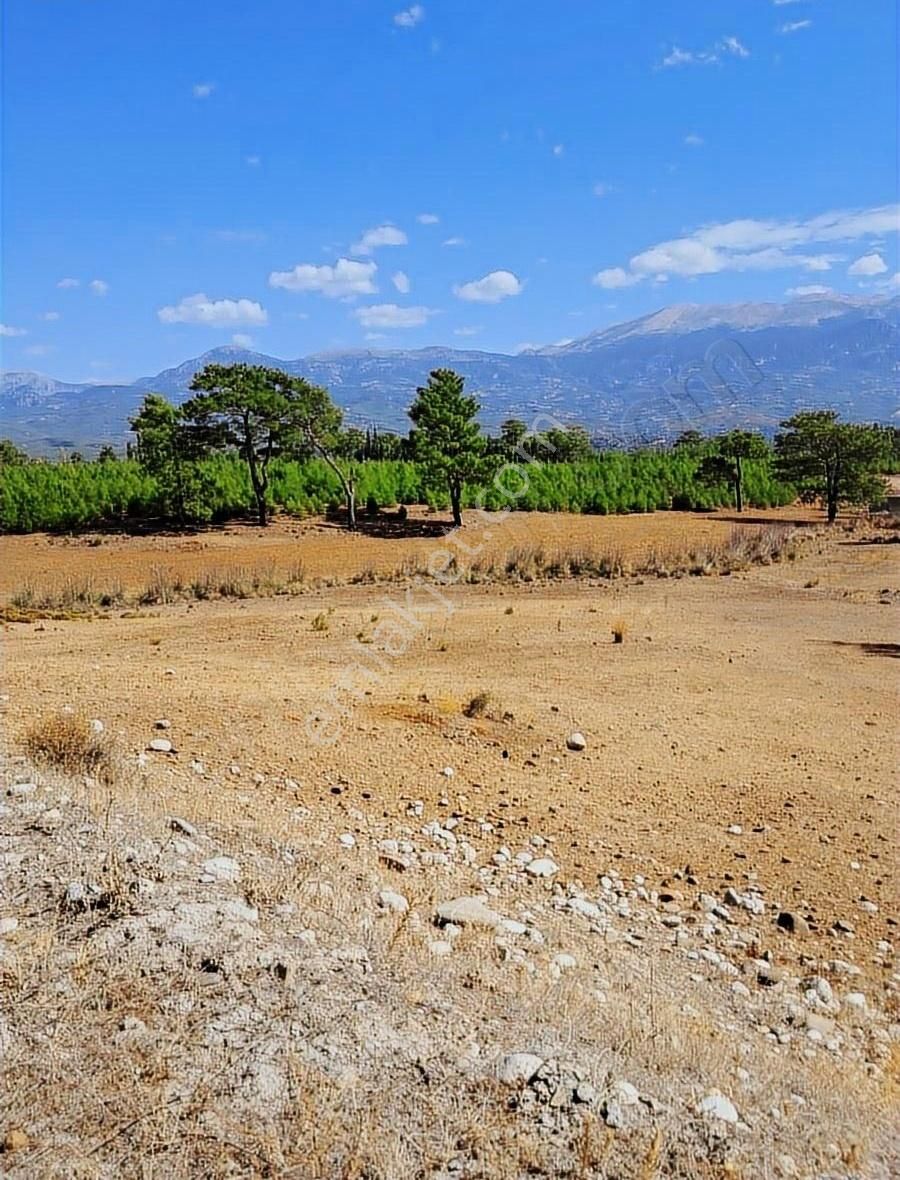 Seydikemer Çobanlar Satılık Tarla Mercan Gayrimenkul'den Çobanlar'da Tek Tapu 3.100m2 Tarla