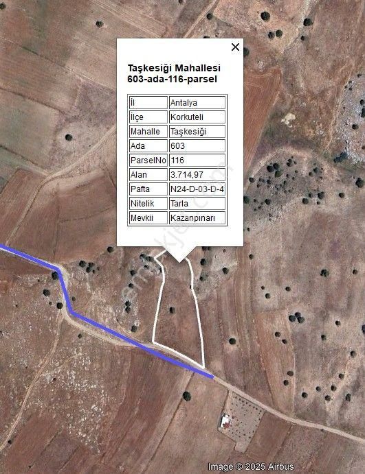 Korkuteli Taşkesiği Satılık Tarla Antalya Korkuteli Taşkesiği Köyünde 3.717 M2 Resmi Yol Üzerinde Fırsat Parsel