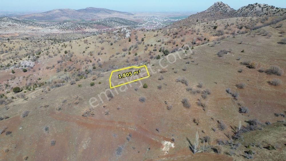 Güneysınır Gürağaç Satılık Tarla Güneysınır Gürağaç Da 1.805 M2 Müstakil Tapulu Bağ