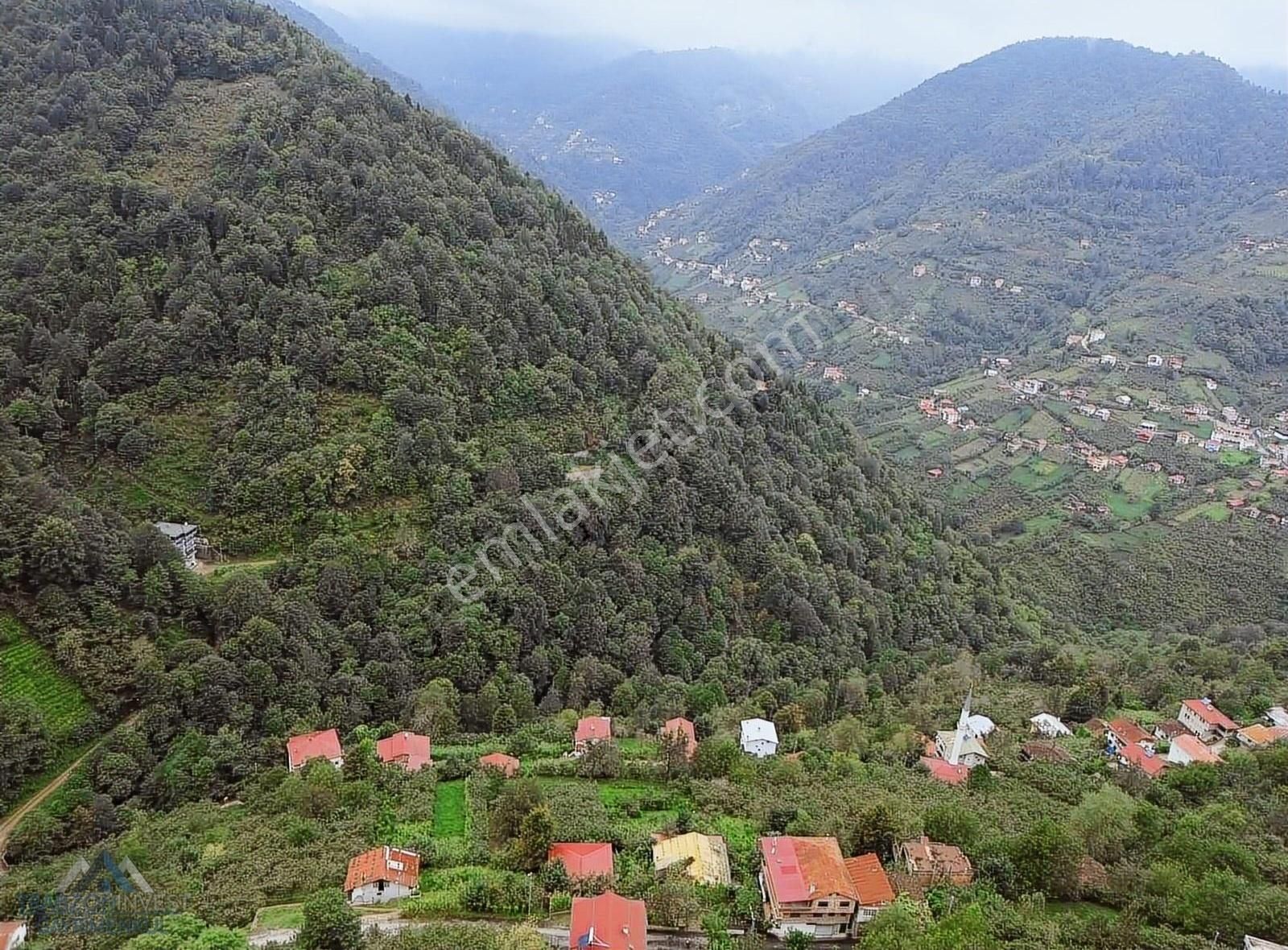 Dernekpazarı Ormancık Satılık Tarla Trabzon Dernekpazarın'da Satılık Ev Yapımına Uygun Arazi