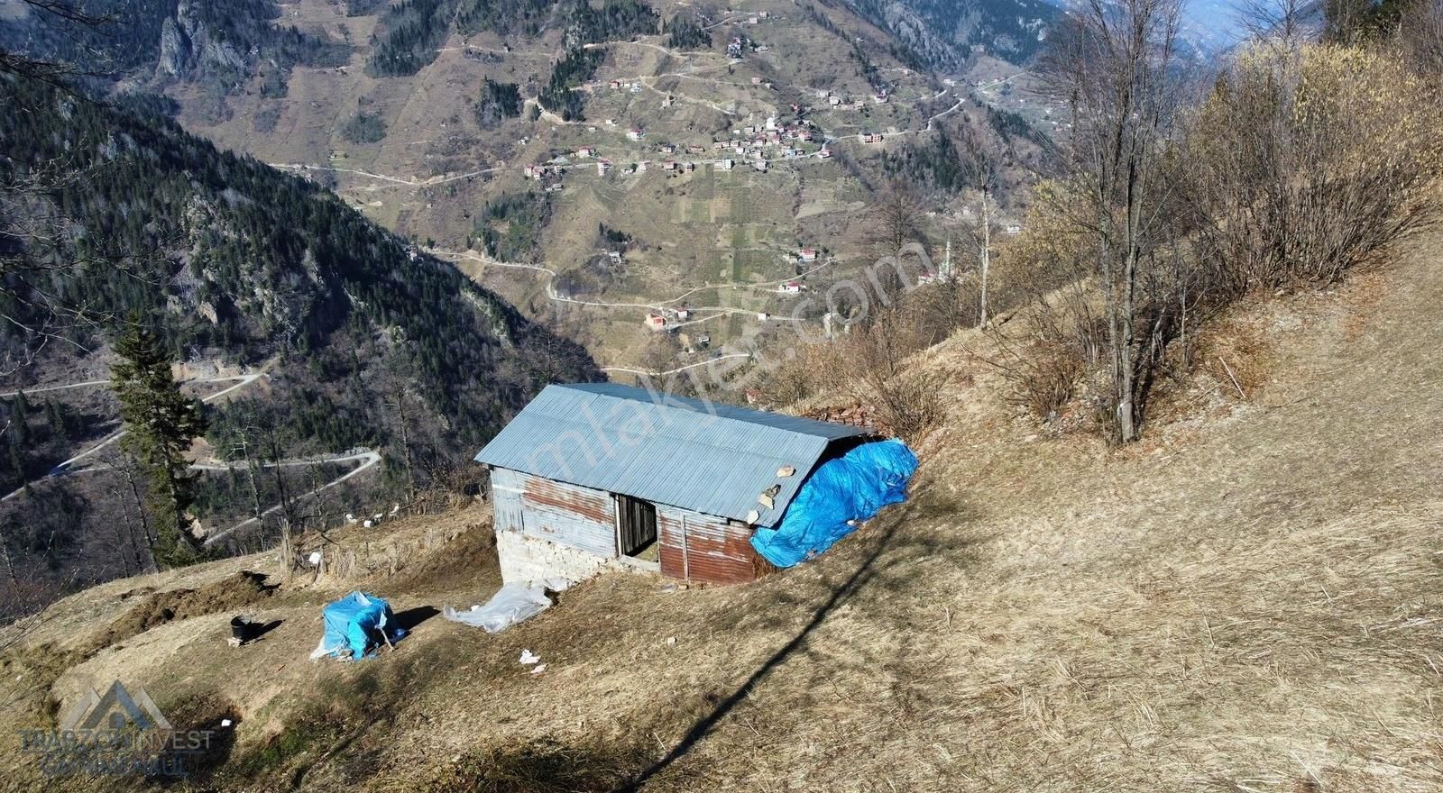 Arsin İşhan Satılık Tarla Trabzonda Arsinde Satılık Arazi