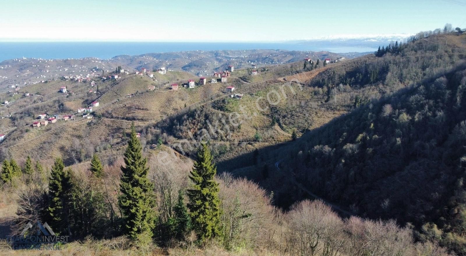 Arsin Elmaalan Satılık Tarla Trabzonda Arsinde Satılık Arazi