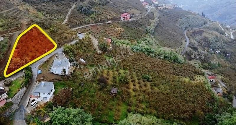 Ortahisar Doğançay Satılık Tarla Trabzon Doğançay'da Satılık Arazi