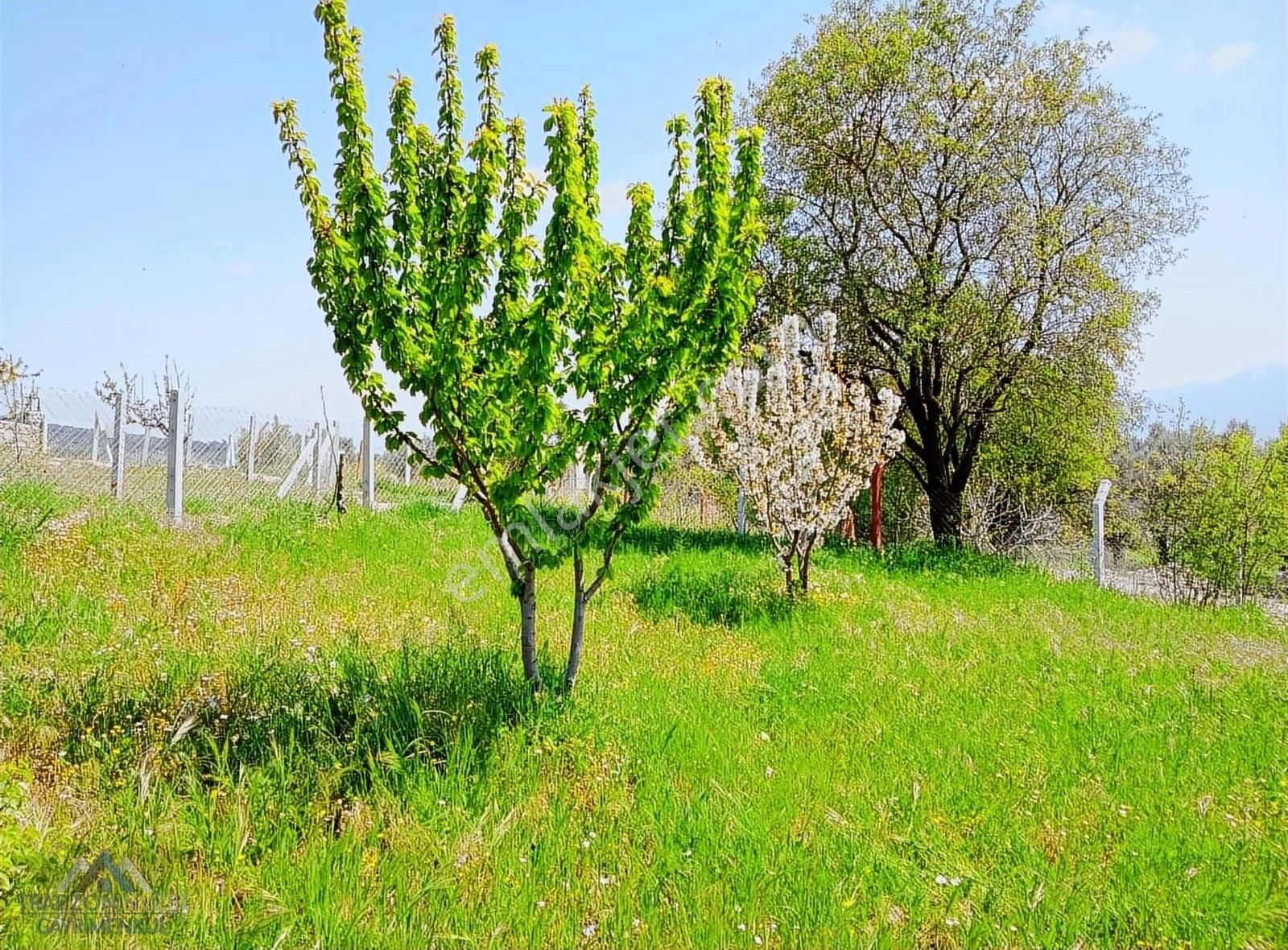 Bornova Yakaköy Satılık Bağ & Bahçe İzmir Bornova Da Satılık Bahçe