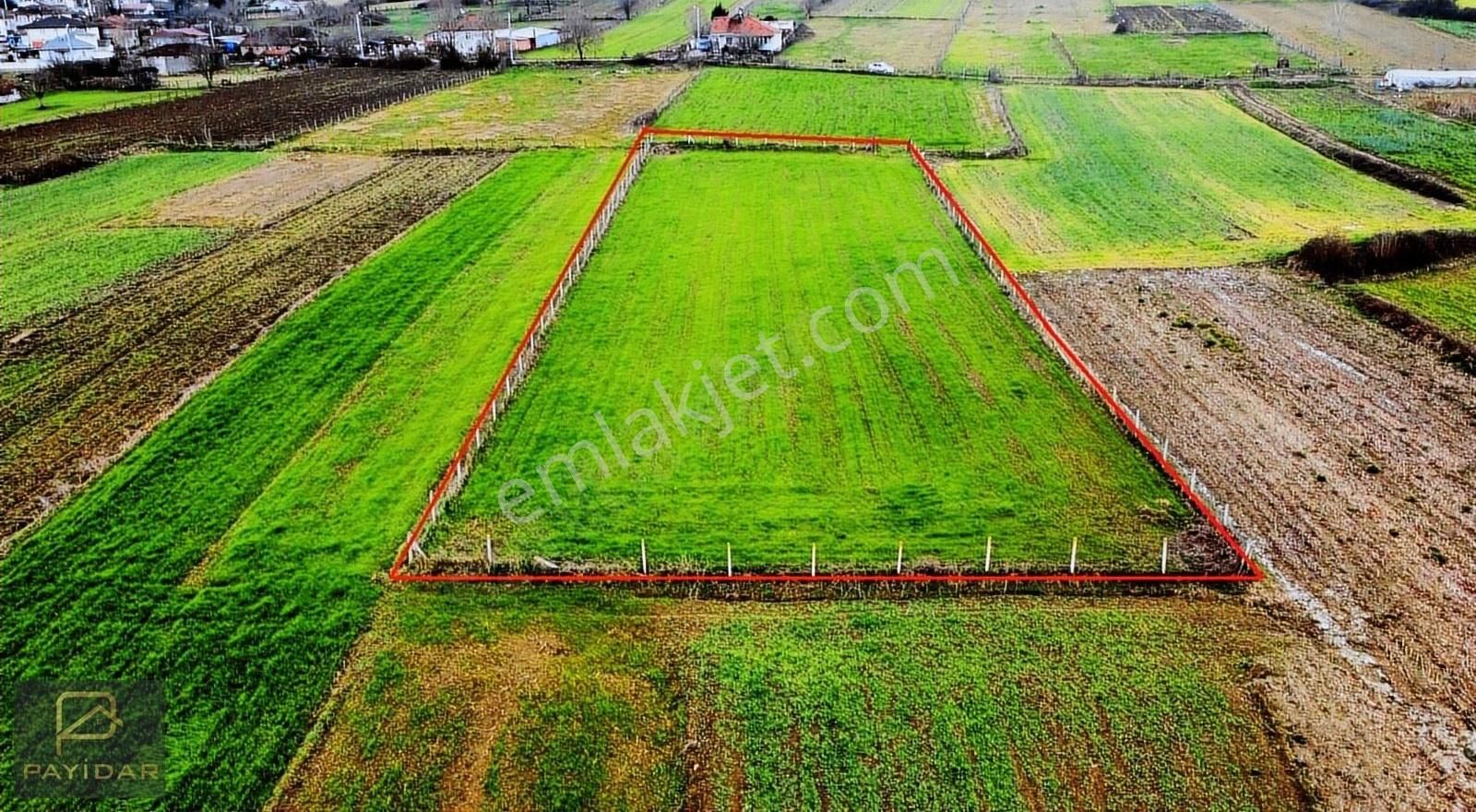 Kandıra Karlı Satılık Tarla Resmi Yolu Alınmış , Çapı Konumu Düzgün , Yerleşime Yakın!