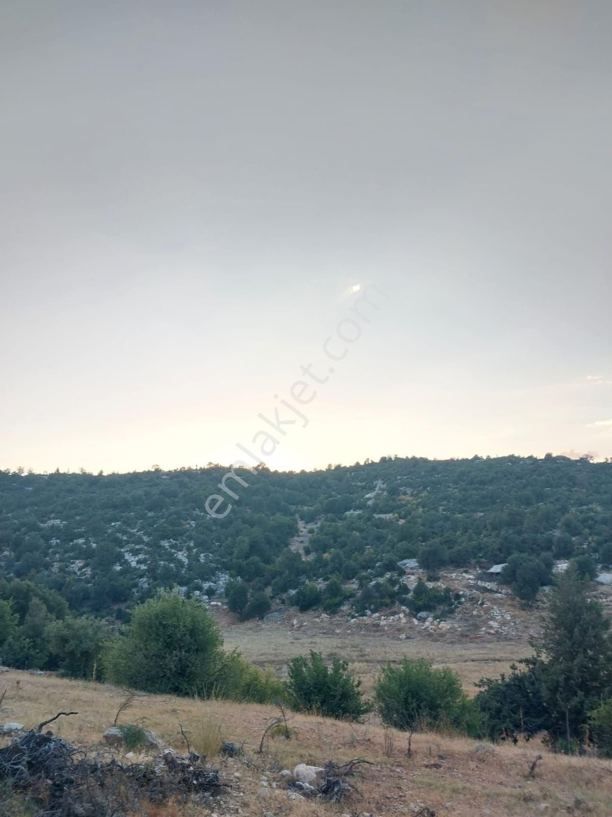 Silifke Ören Satılık Tarla Çağlayan Emlaktan Silifke Ören Mahallesinde Satılık Tarla