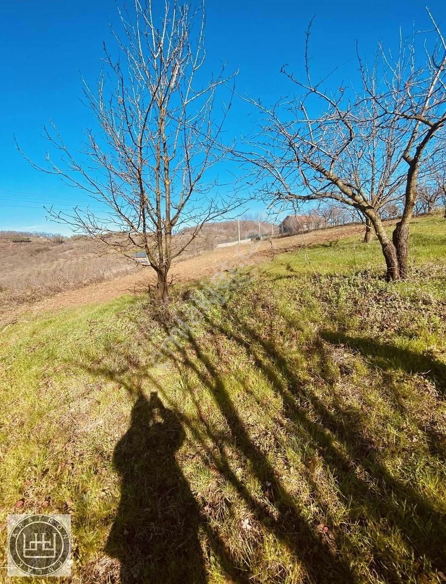 Serdivan Aşağıdereköy Satılık Tarla 1760 M2 Sakarya Aşağıdereköy Göl Manzaralı Satılık Arazi