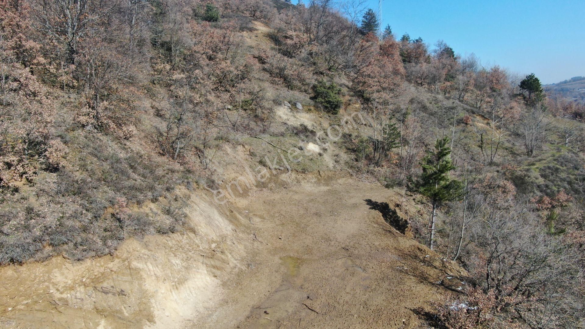 İnegöl Çayyaka Satılık Tarla Çayyaka'da Asfalt'a Cepheli İnegöl'e 8km 4083m2 60m Yola Cepheli