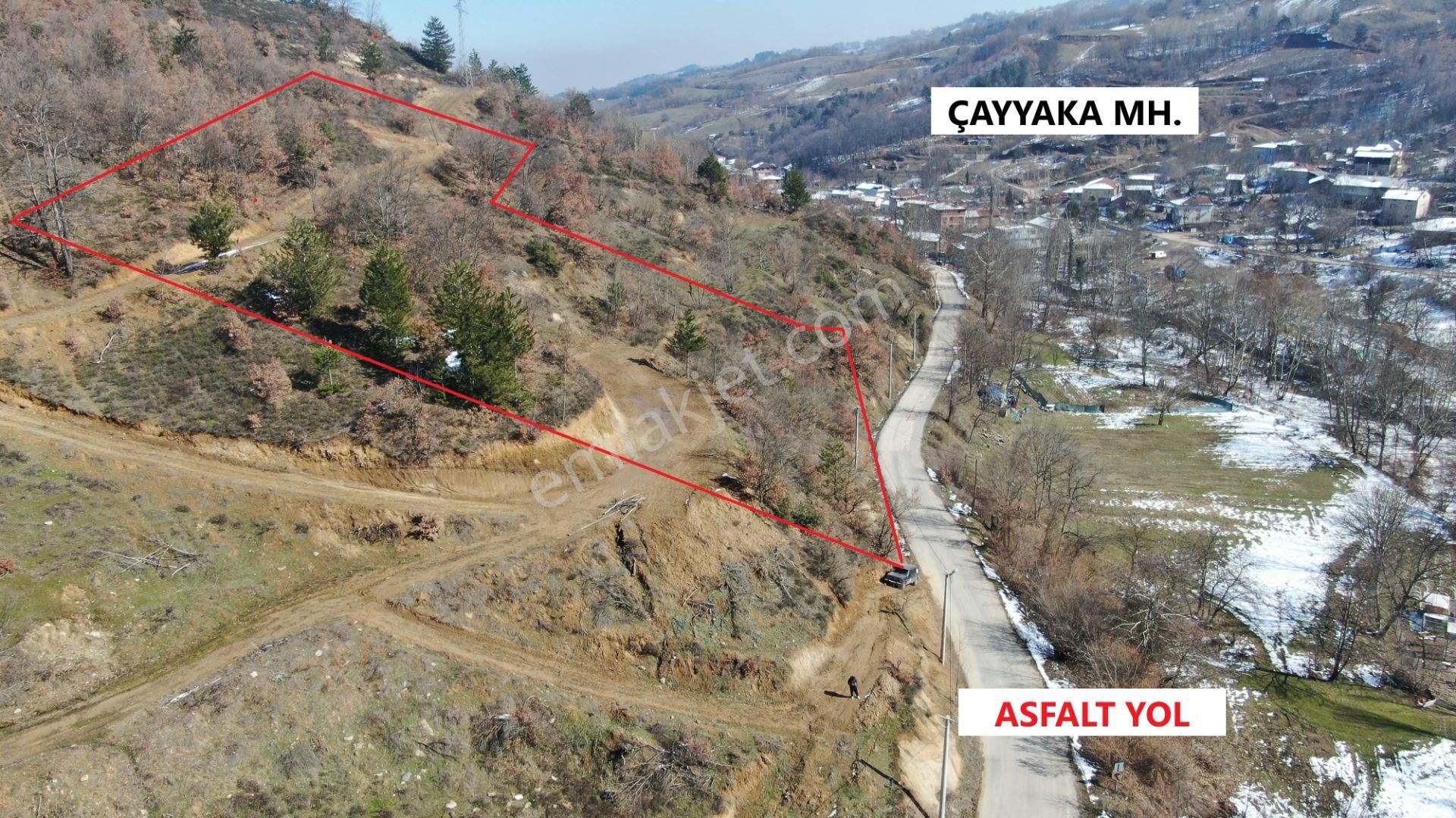 Çayyaka'da Asfalt'a Cepheli İnegöl'e 8km 4083m2 60m Yola Cepheli - Görsel 2