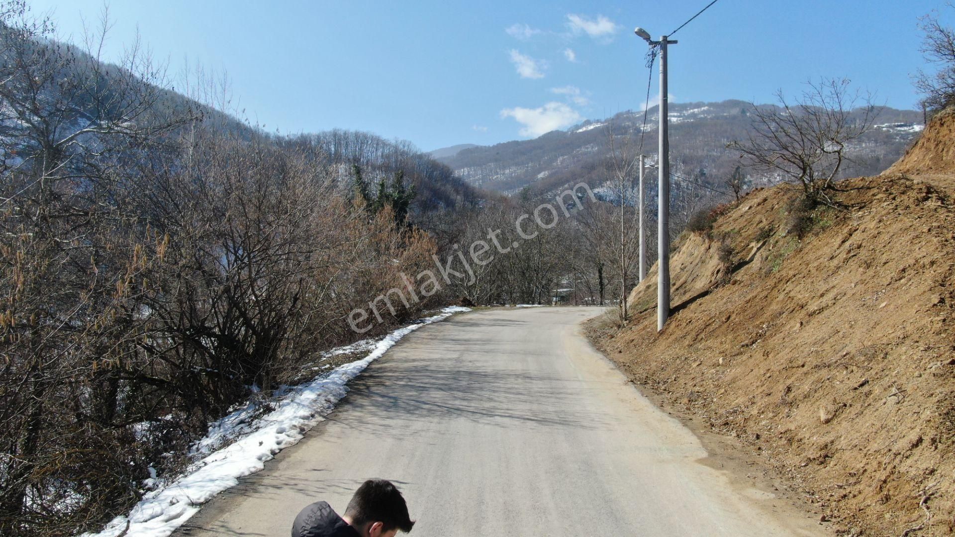 Çayyaka'da Asfalt'a Cepheli İnegöl'e 8km 4083m2 60m Yola Cepheli - Görsel 9