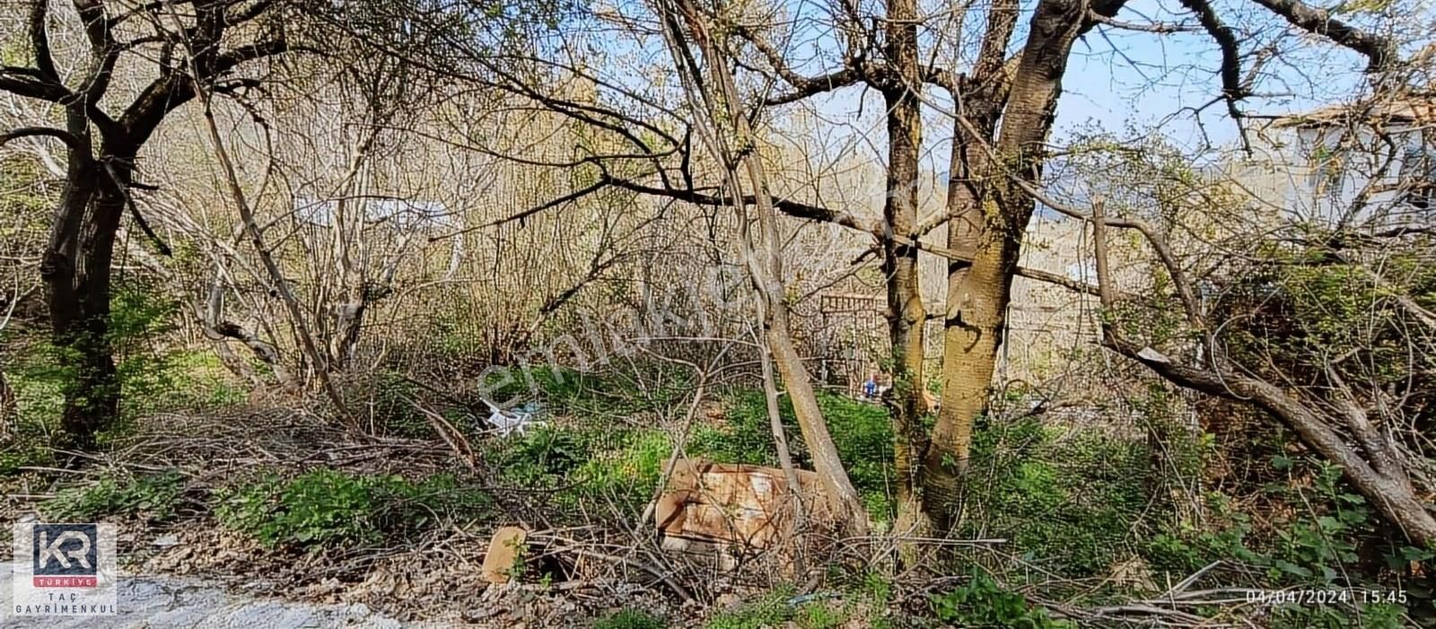 İnegöl Gülbahçe Satılık Konut İmarlı Kr Taç Gayrimenkul İnegöl Gülbahçe Köyü Köyiçi Satılık Arsa