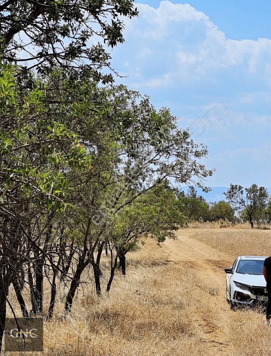 Keçiborlu Senir Bld. (Yeni) Satılık Tarla Lavantalar Tesisine 1 Km Badem Ağaçlı Tarla