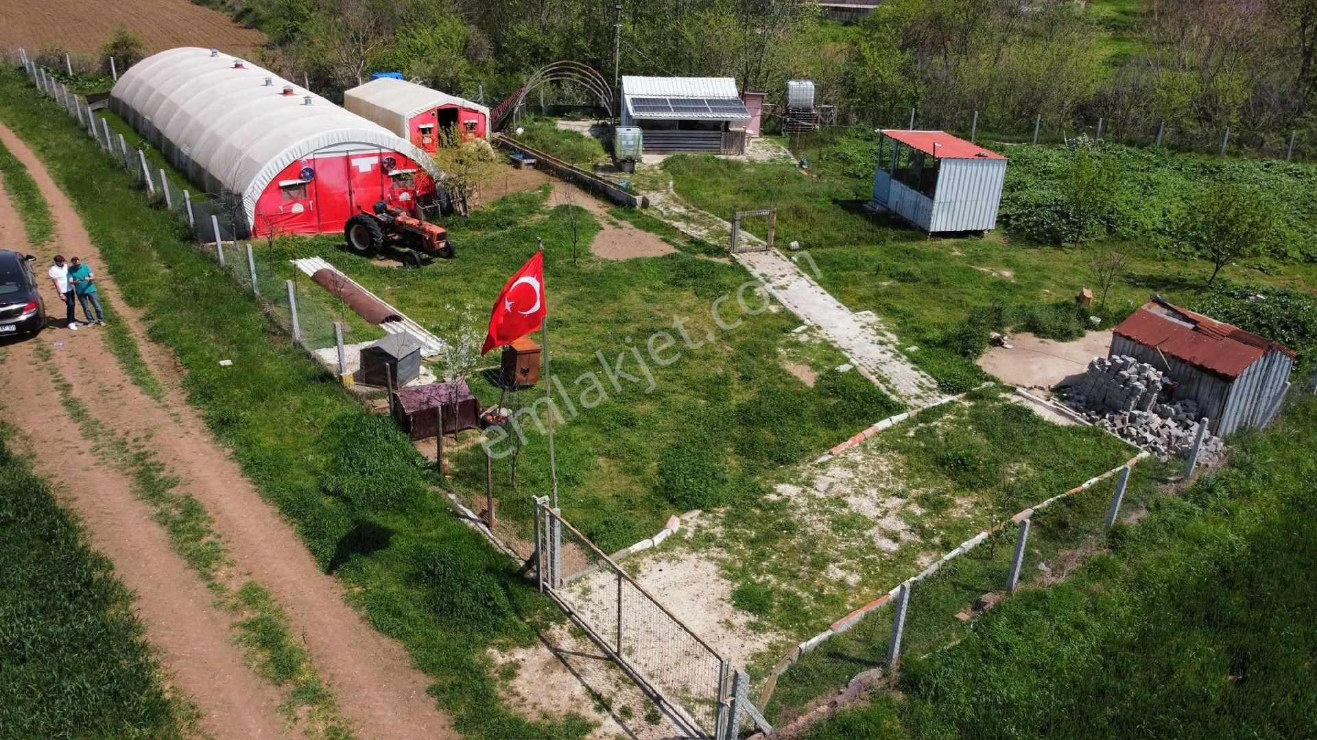 Lüleburgaz Ahmetbey Bld. (Karşıyaka) Satılık Bağ & Bahçe Tavuk Ciftligi Herseyi Hazır