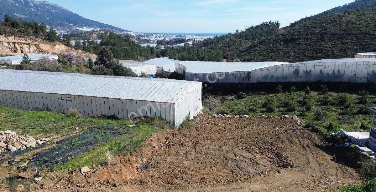 Anamur Köprübaşı Satılık Tarla Anamur Köprübaşında Müstakil Deniz Manzaraları Tarla