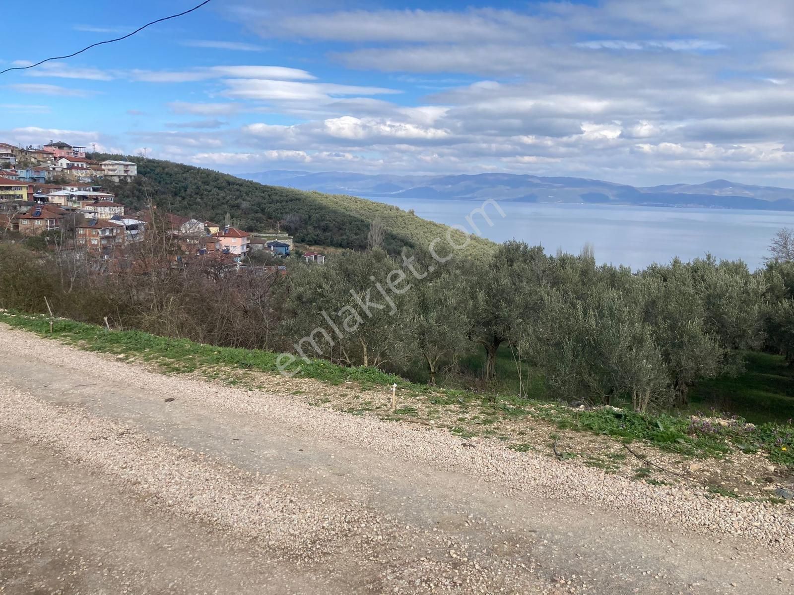 İznik Mustafalı Mah. Full Göl Manzaralı Konut İmarla Arsa - Görsel 15