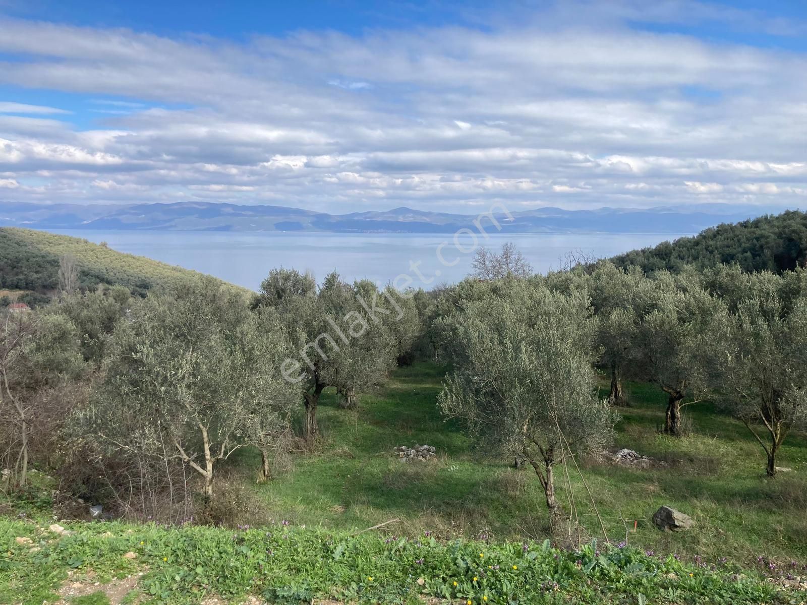 İznik Mustafalı Mah. Full Göl Manzaralı Konut İmarla Arsa - Görsel 8