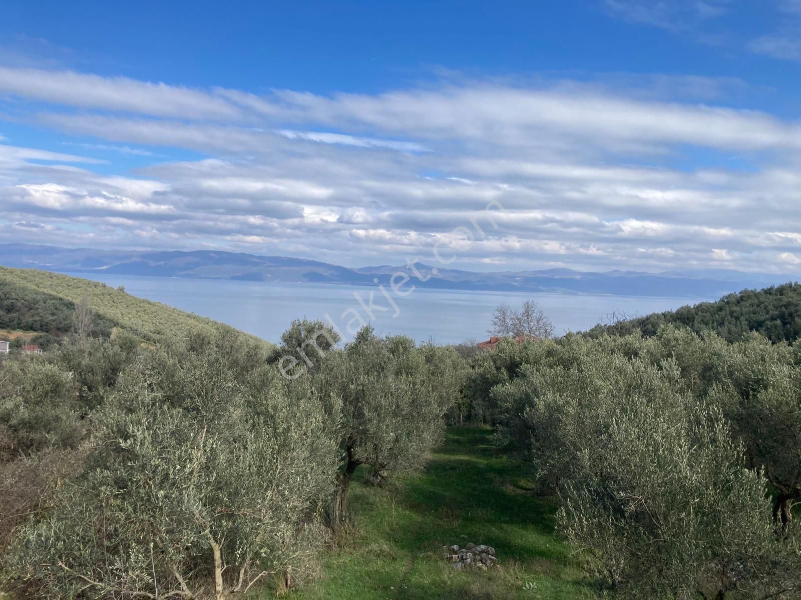 İznik Mustafalı Mah. Full Göl Manzaralı Konut İmarla Arsa - Görsel 17